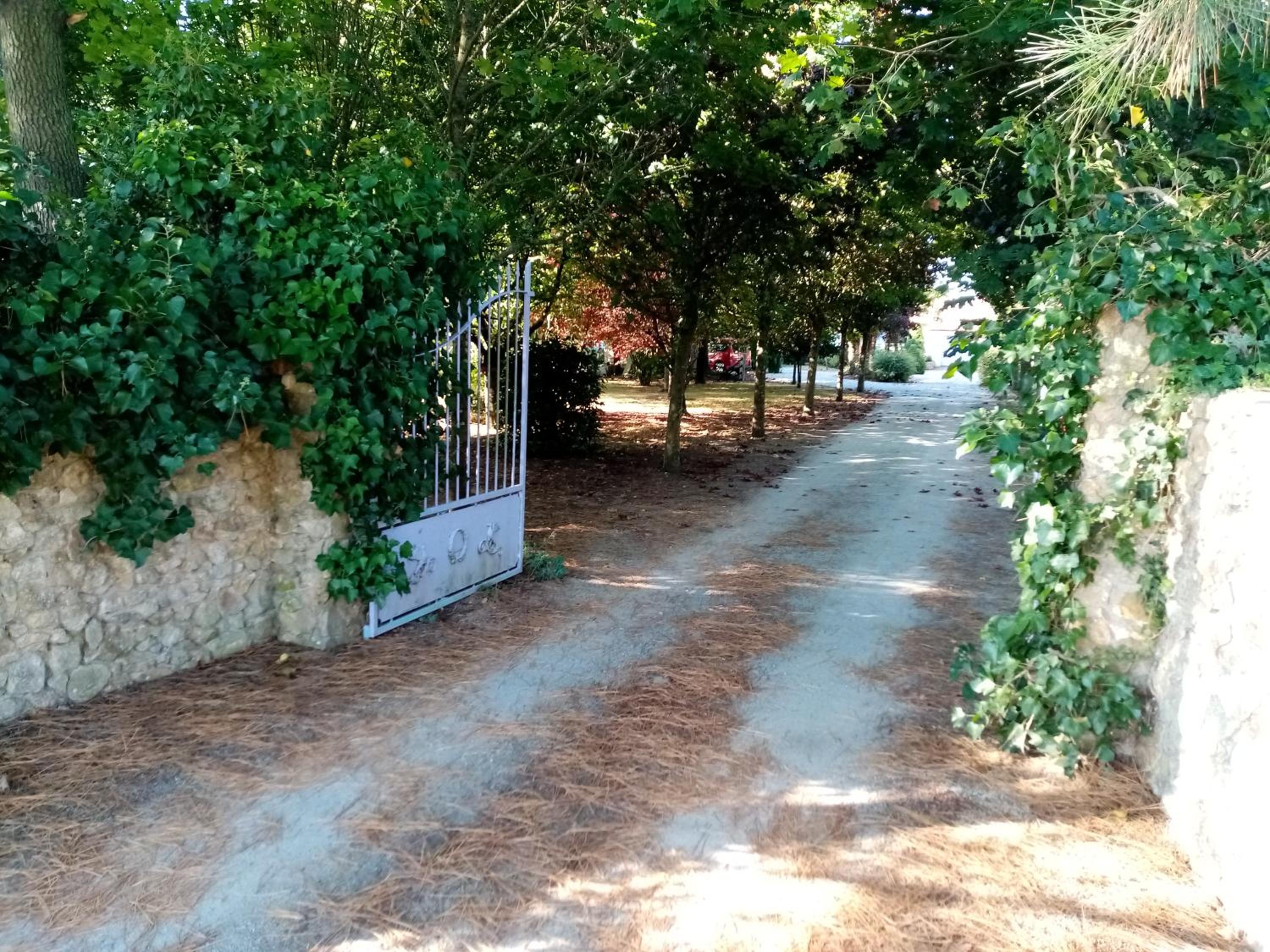 l'Eden naturiste écureuil, photo 32