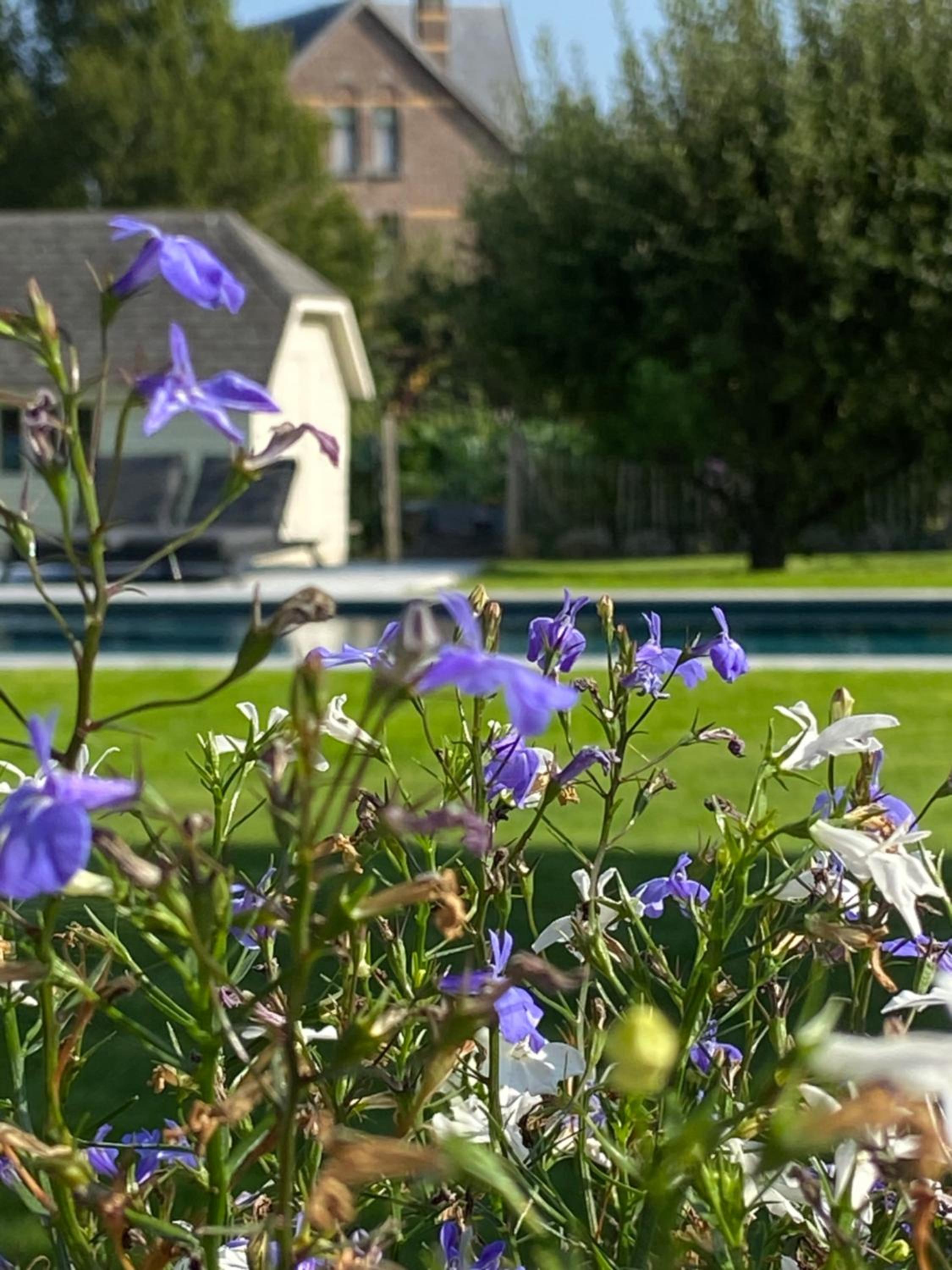Photo 120