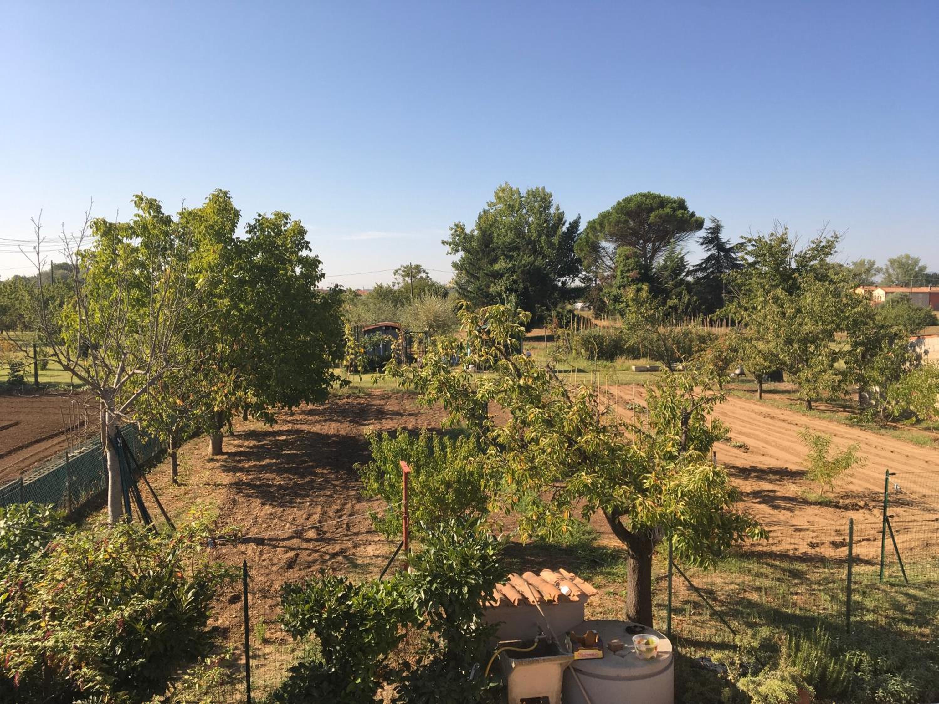 Tuscan Dream Casa Vacanze