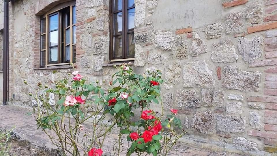Casa Country House Girasole vakantie huis-WAKACJE HUIS