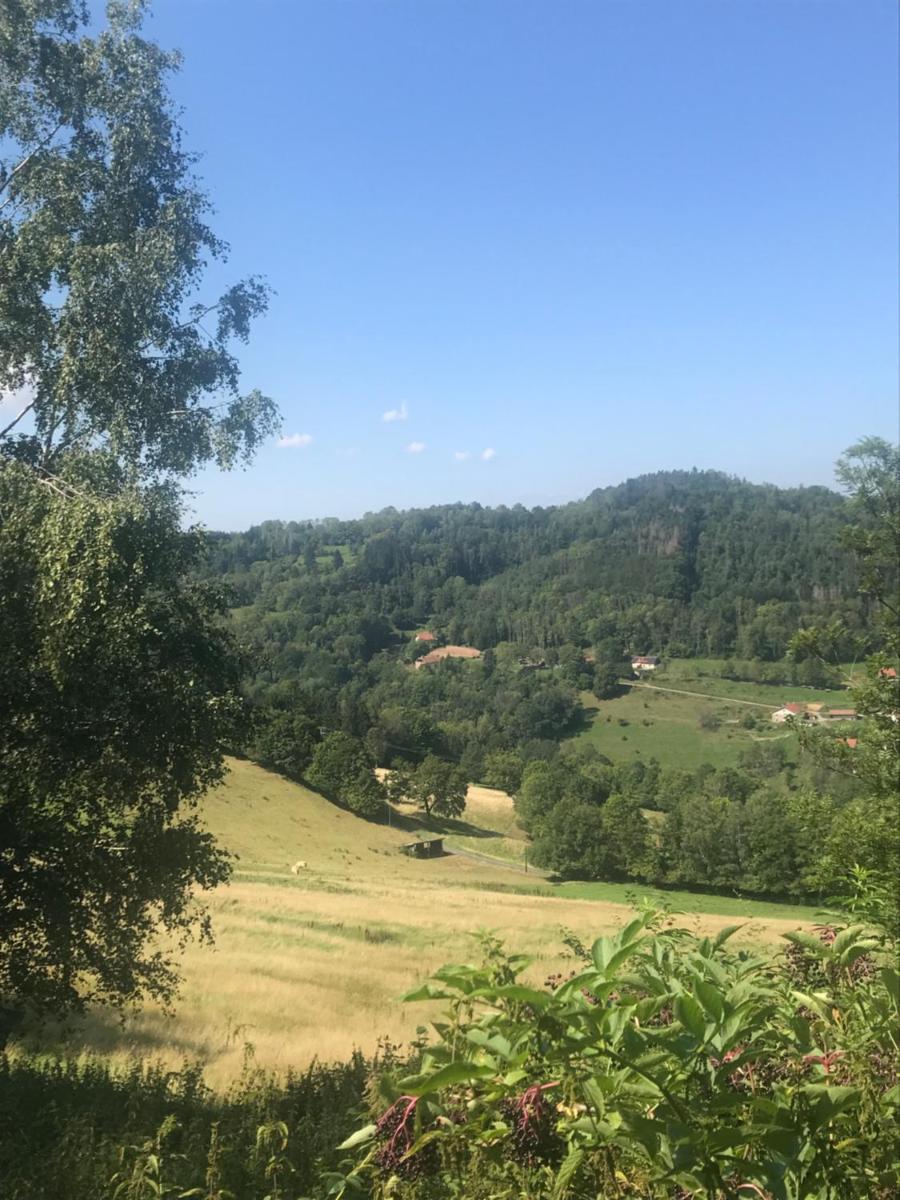 Photo 25
