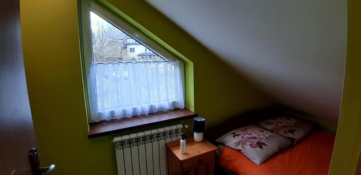 Knieja u Andrzeja view 2