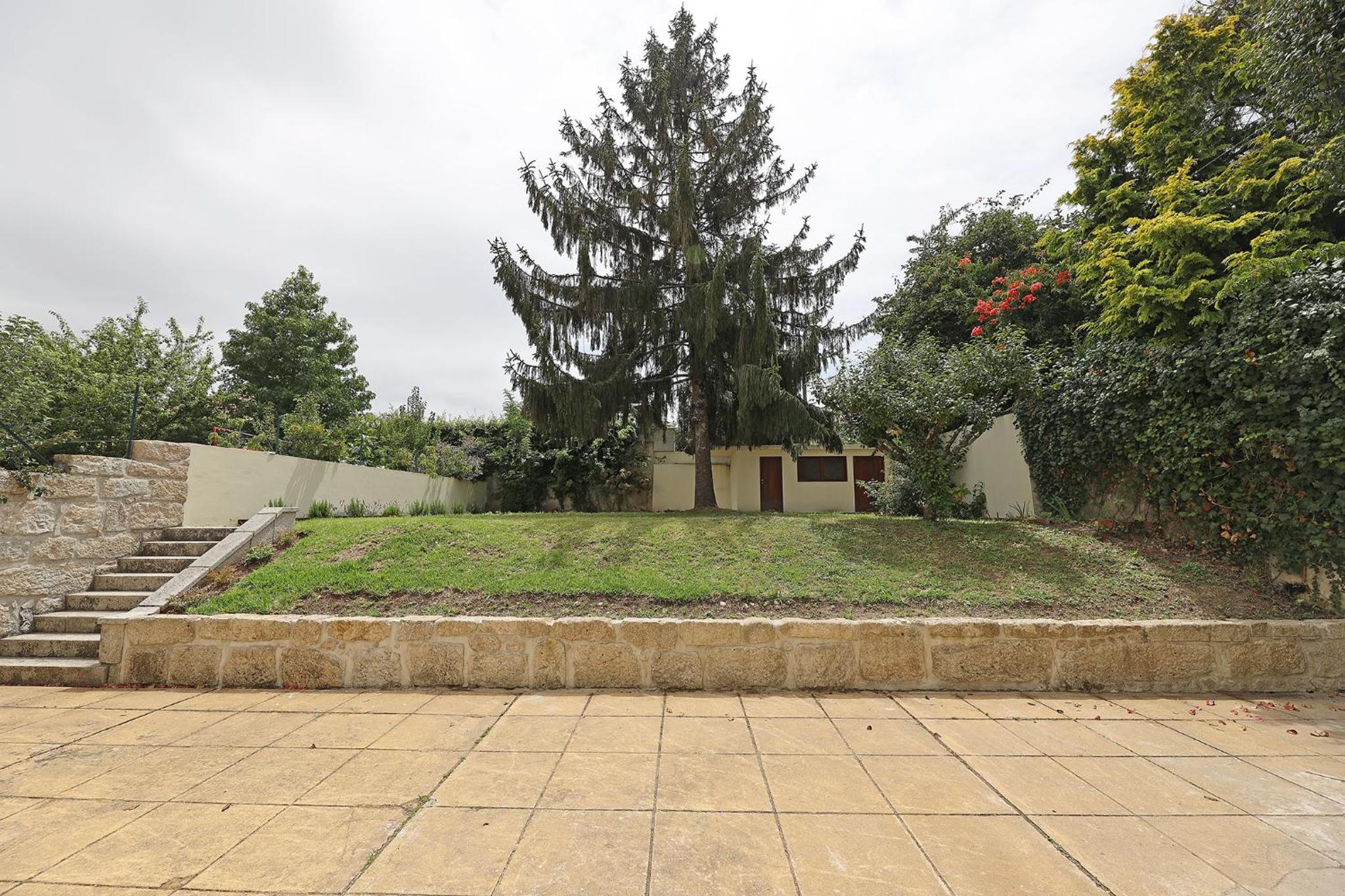 FLH Serralves House with Garden view 3