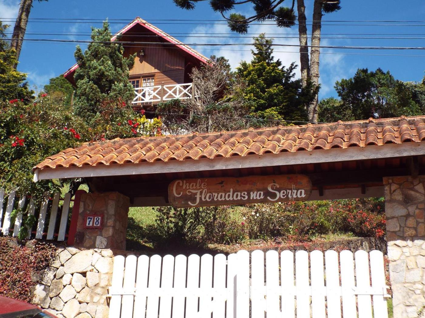 Florada na Serra