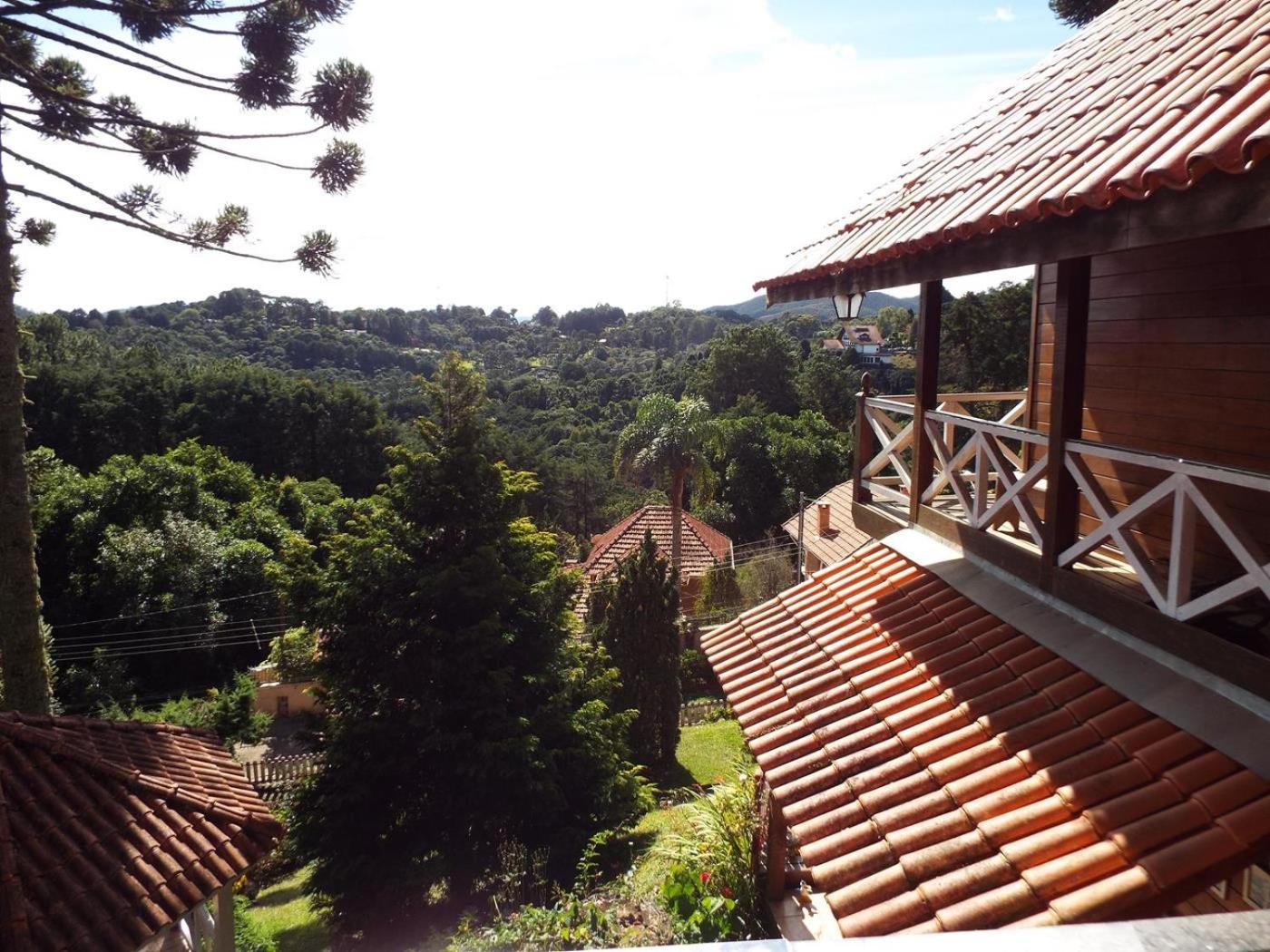 Florada na Serra