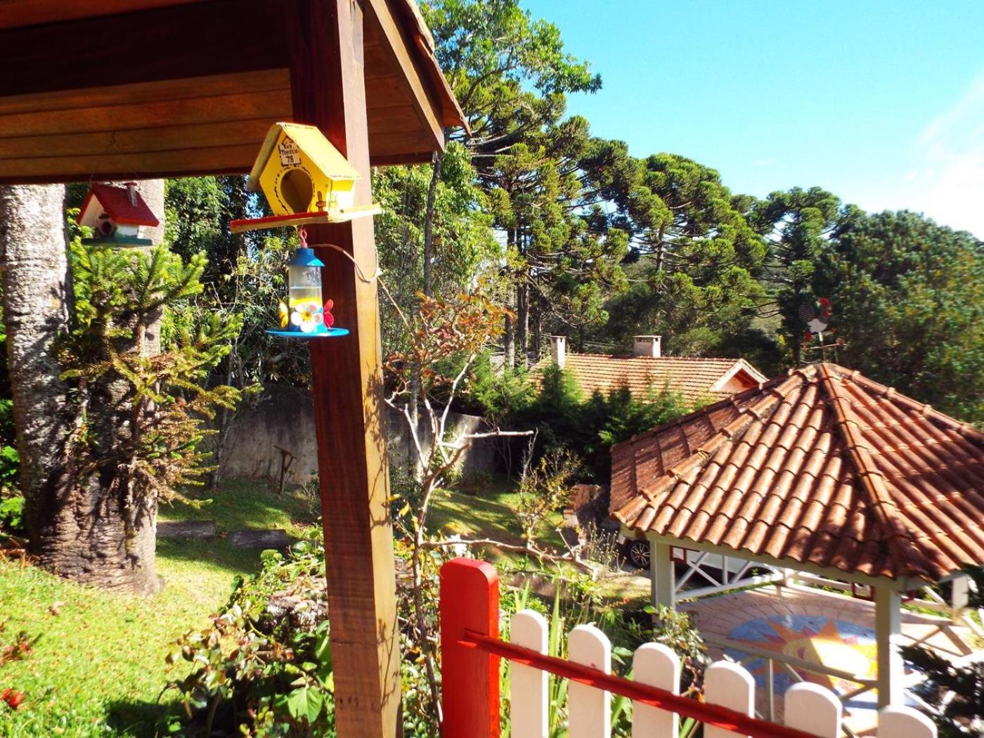 Florada na Serra