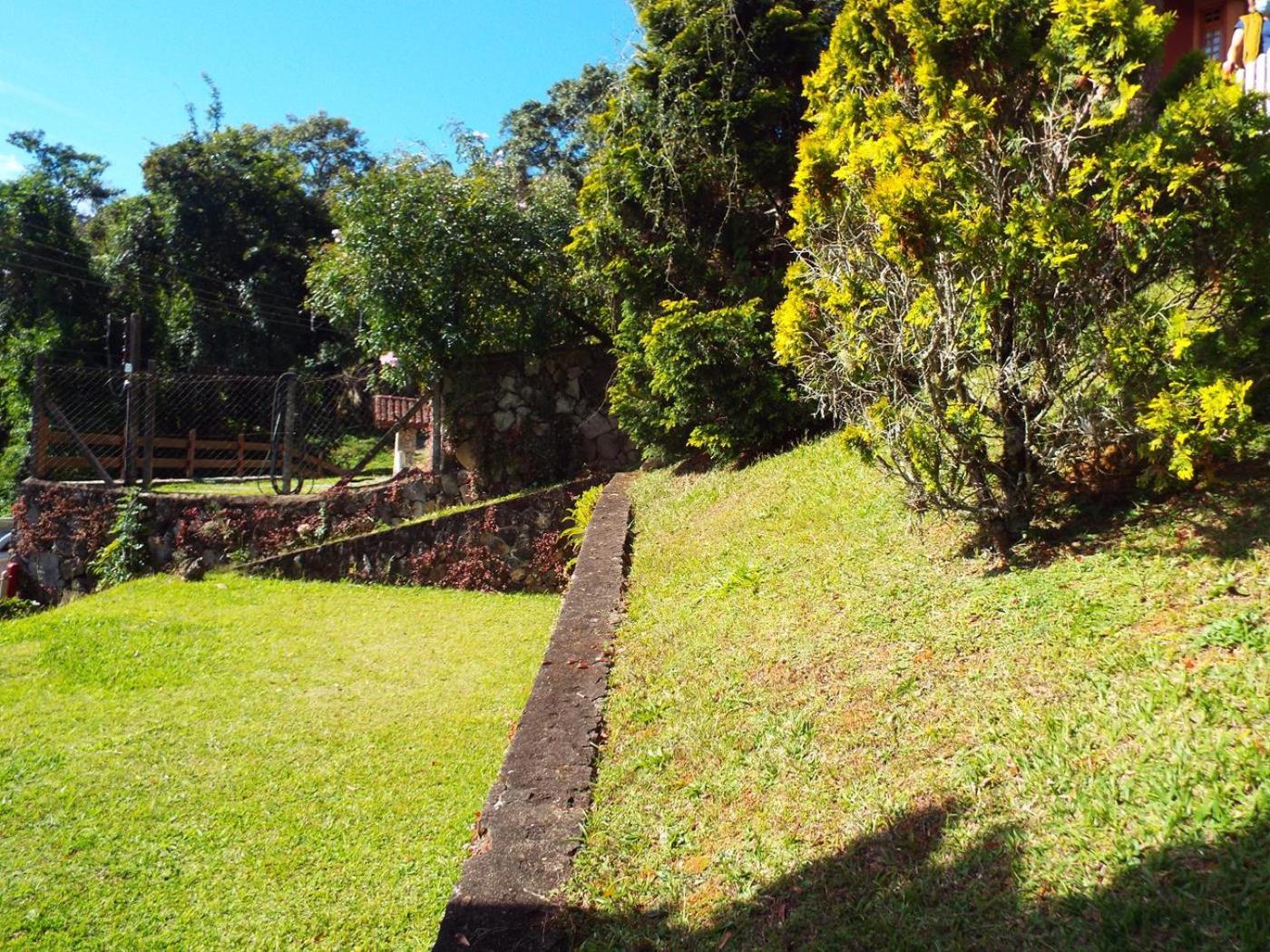 Florada na Serra