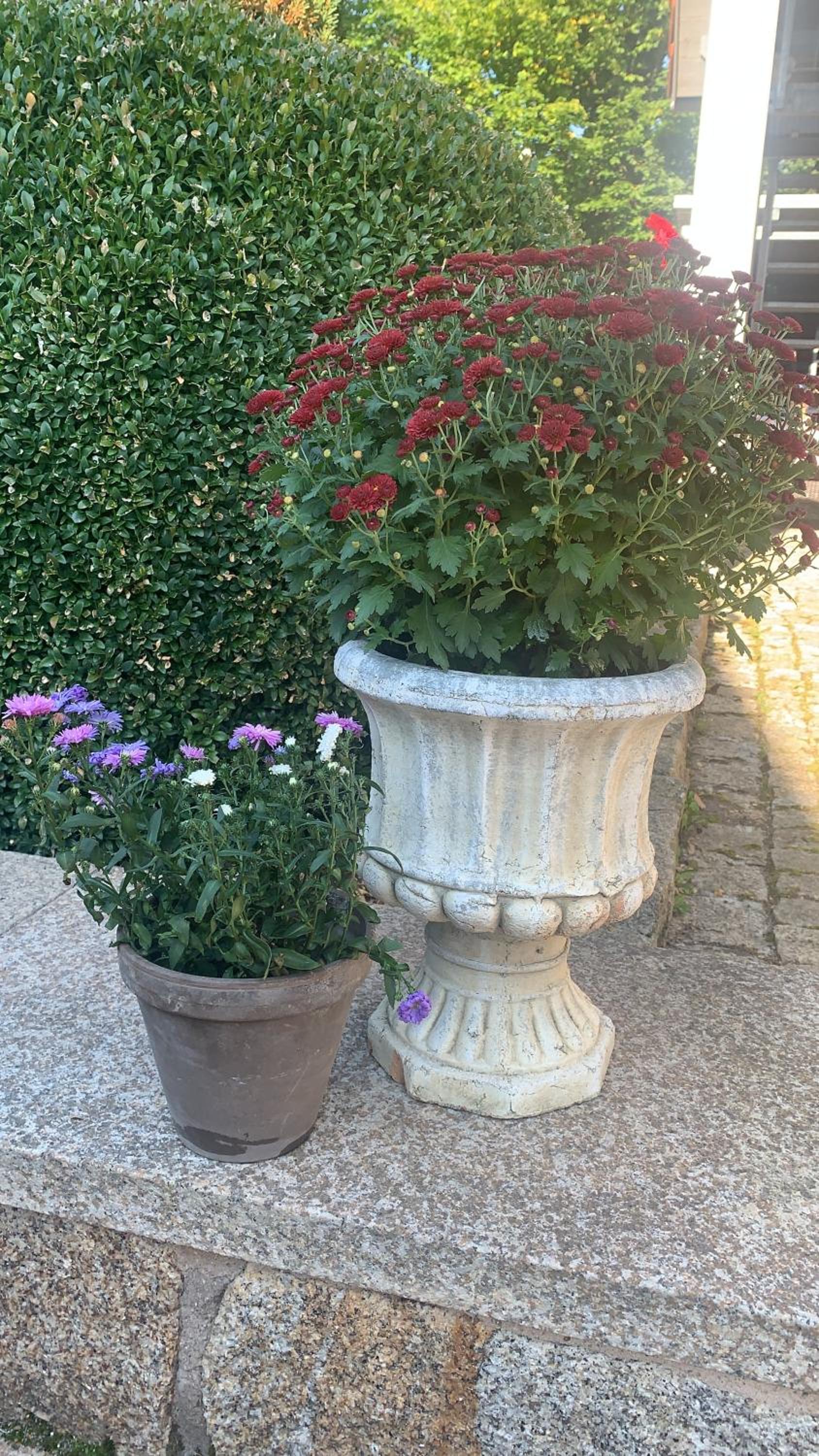 Bezaubernde Ferienwohnung mit Rosengarten