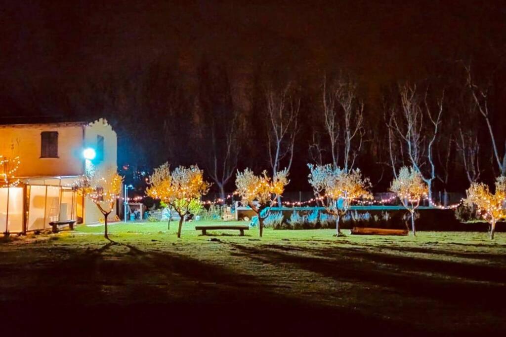 Photo 18