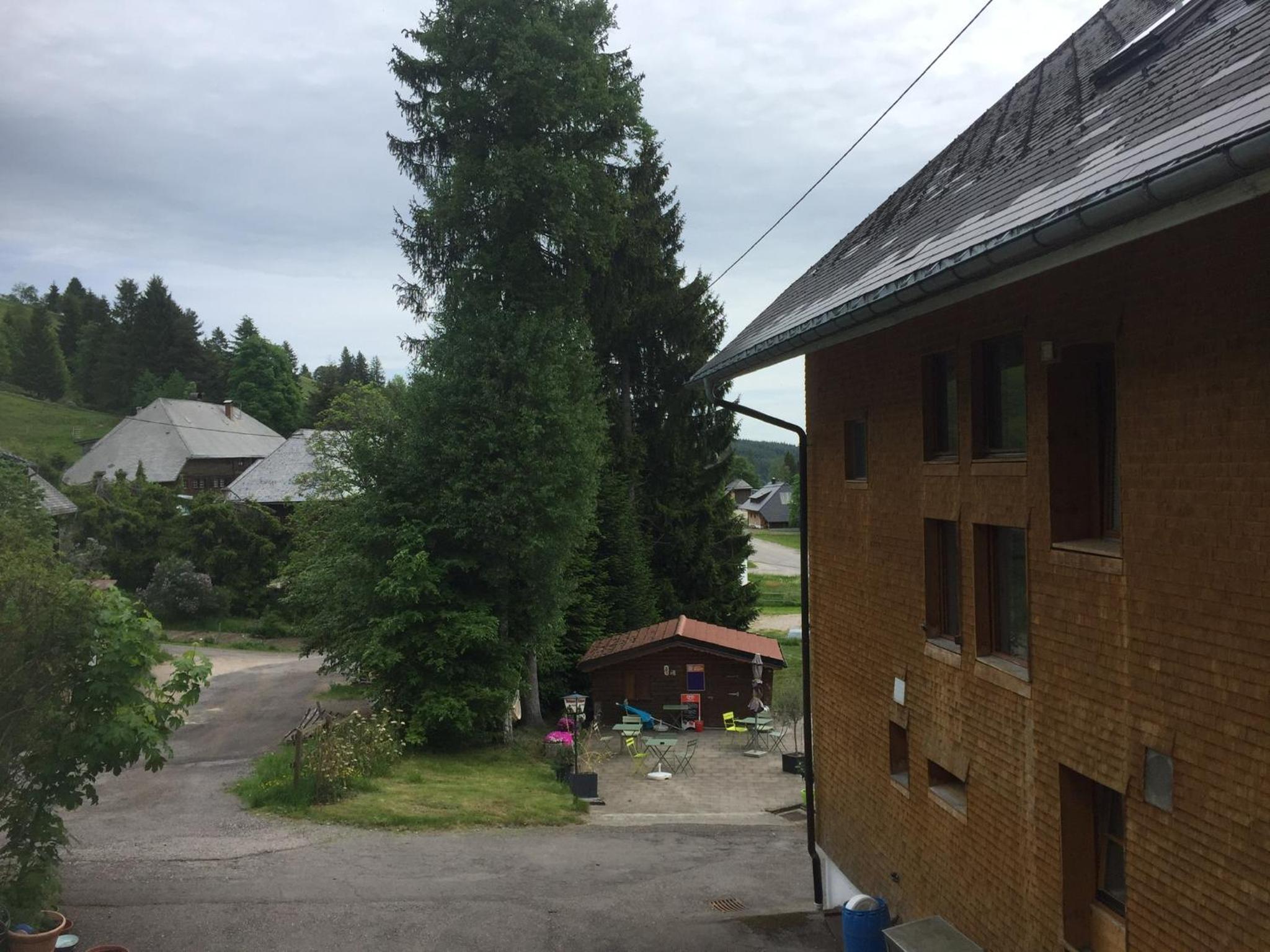 Photo 21