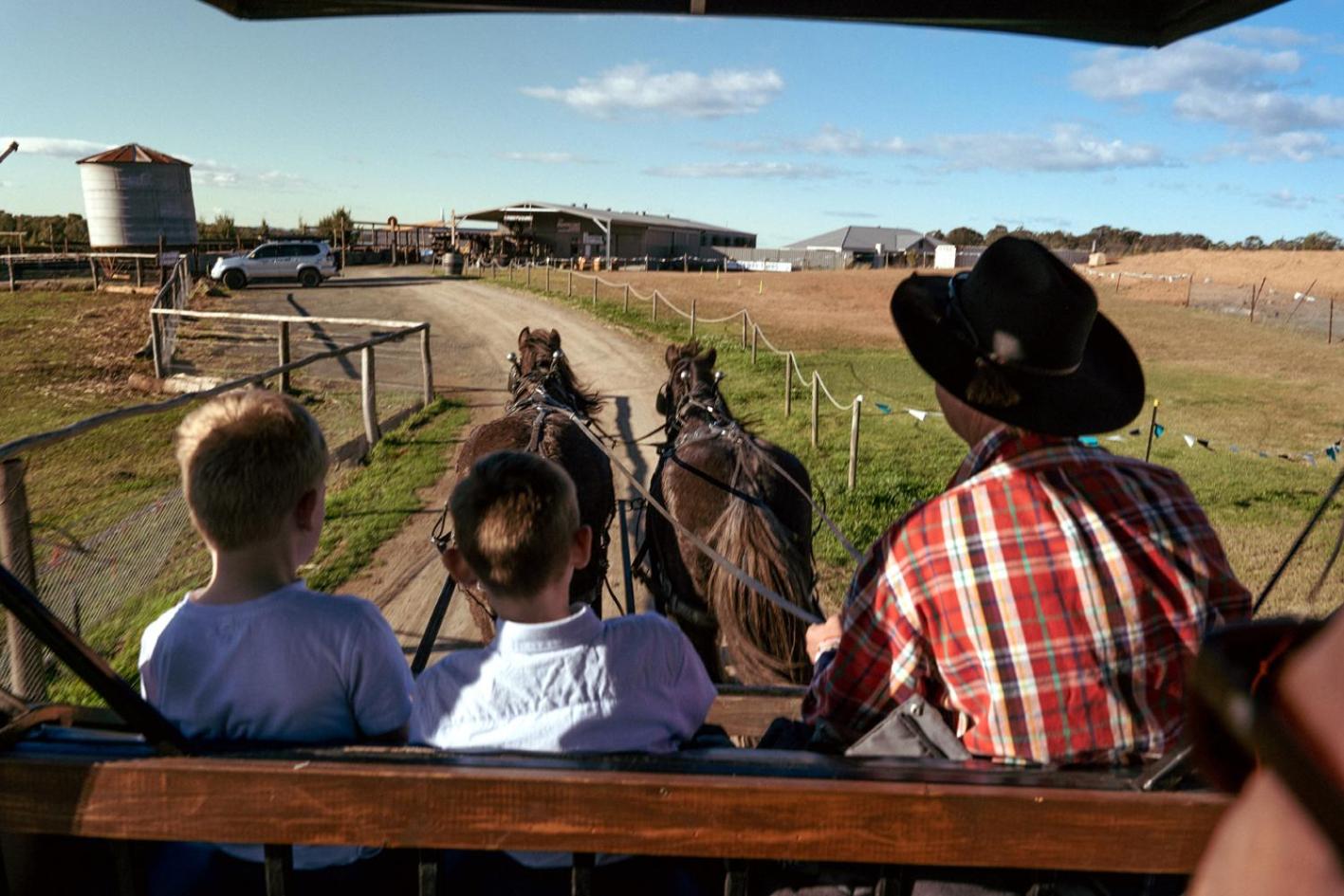 Hunter Valley Resort, Hunter Farm Adventure Centre & 4 Pines at the Farm