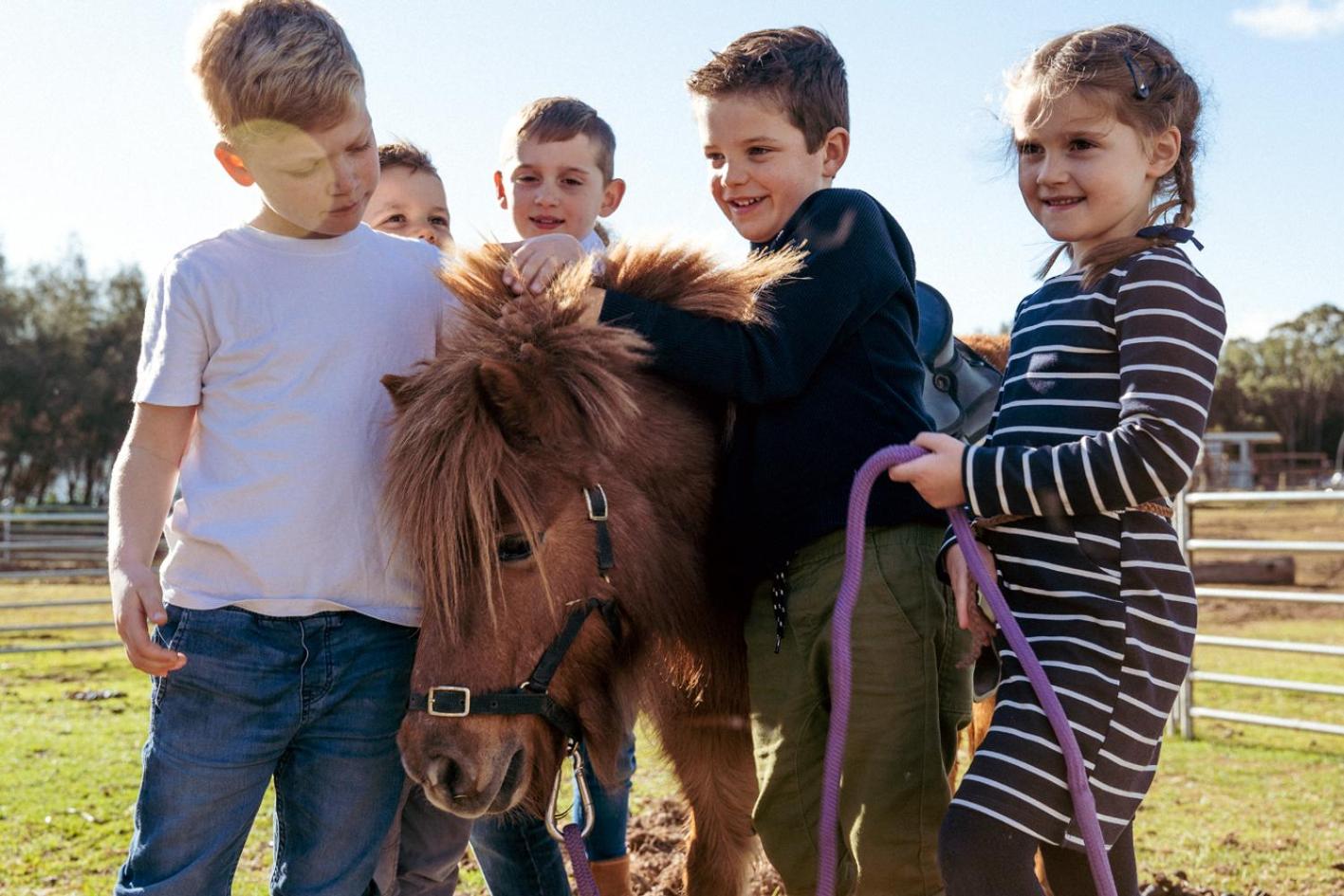 Hunter Valley Resort, Hunter Farm Adventure Centre & 4 Pines at the Farm