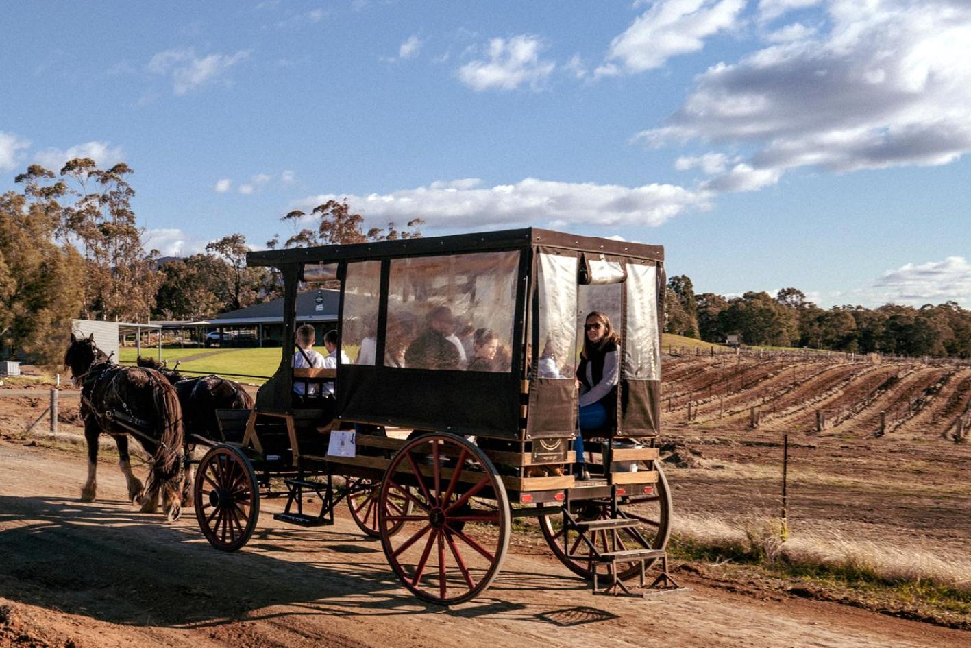 Hunter Valley Resort, Hunter Farm Adventure Centre & 4 Pines at the Farm