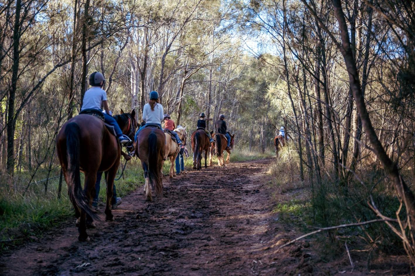 Hunter Valley Resort, Hunter Farm Adventure Centre & 4 Pines at the Farm