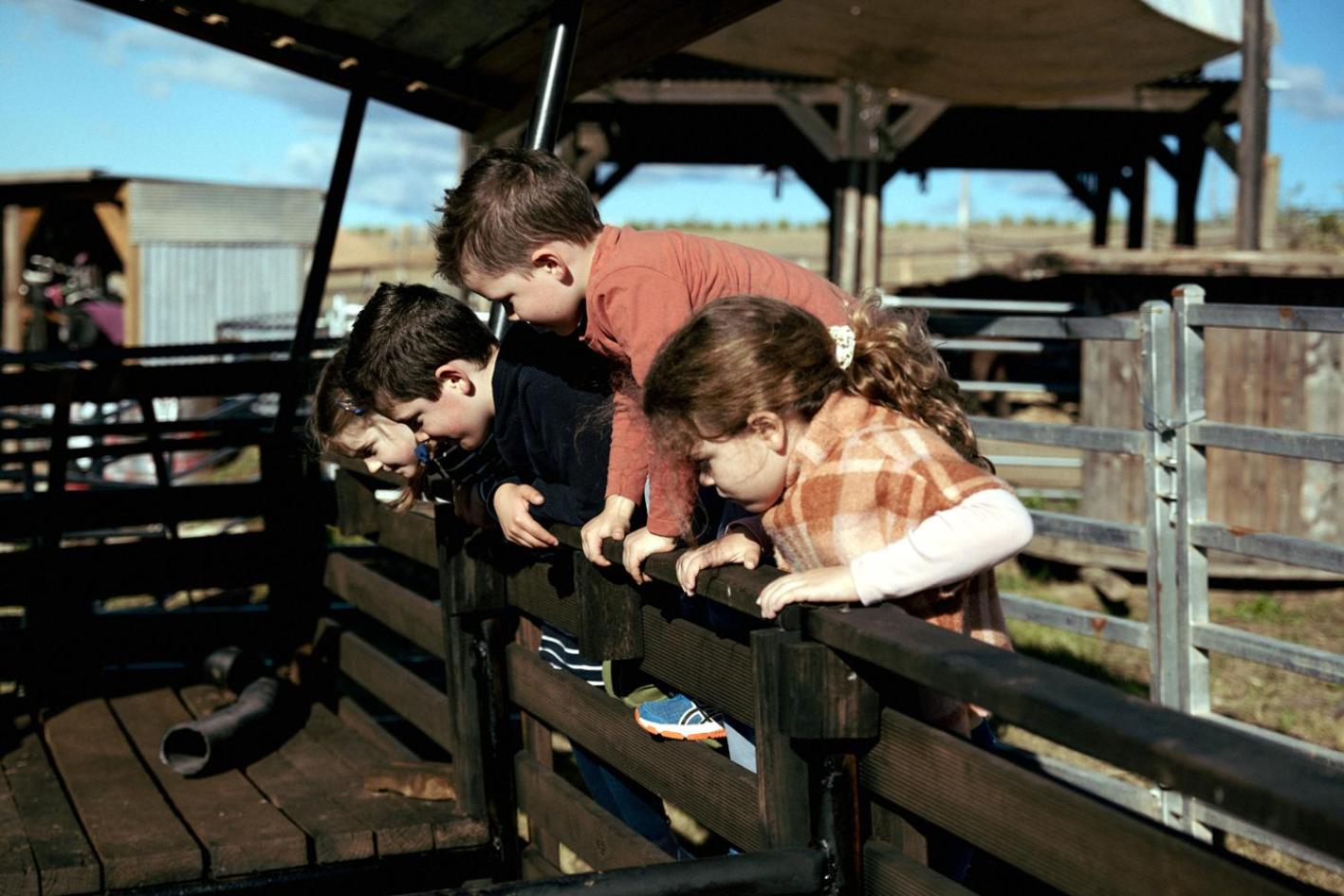 Hunter Valley Resort, Hunter Farm Adventure Centre & 4 Pines at the Farm