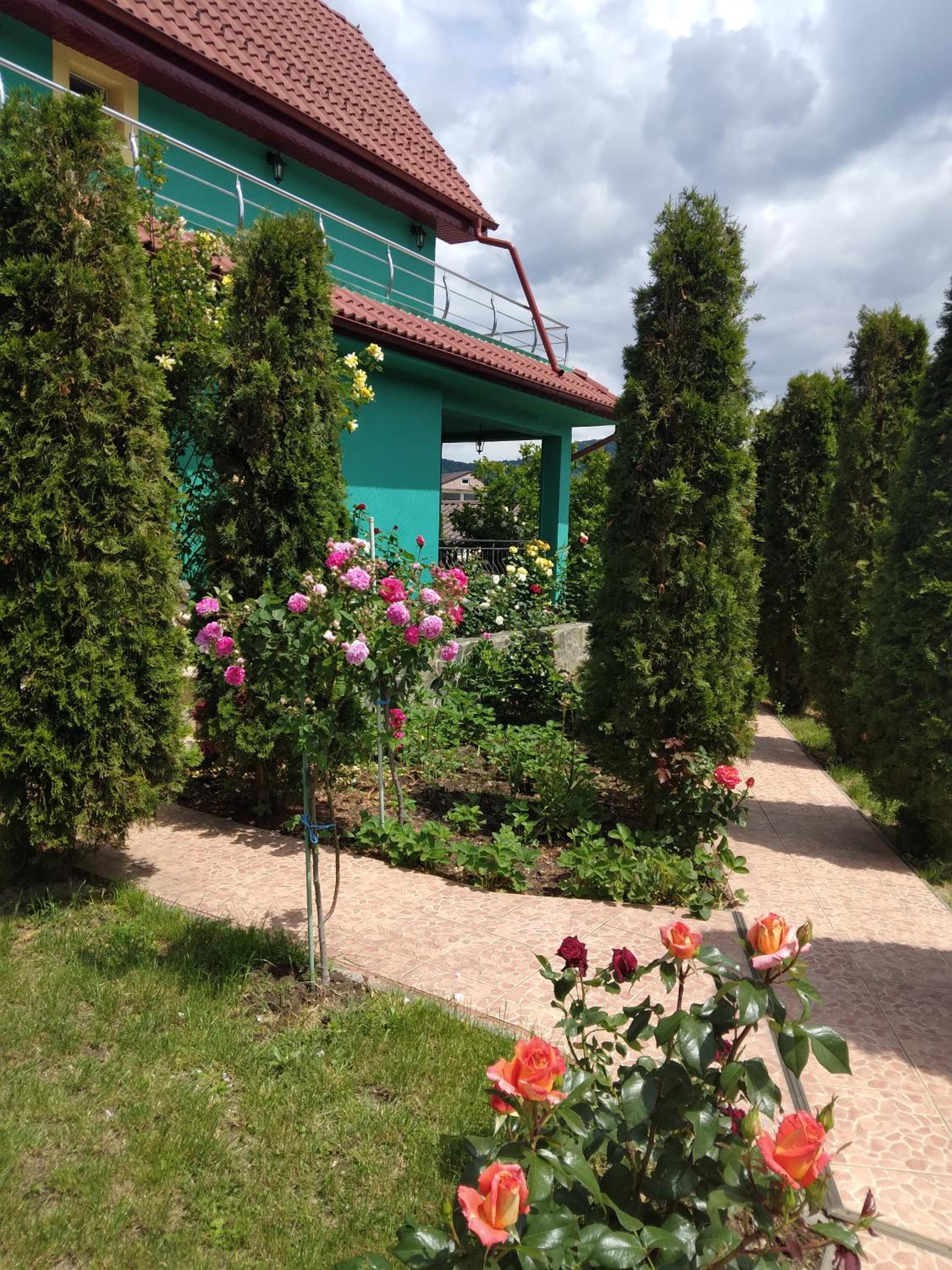 Photo 42