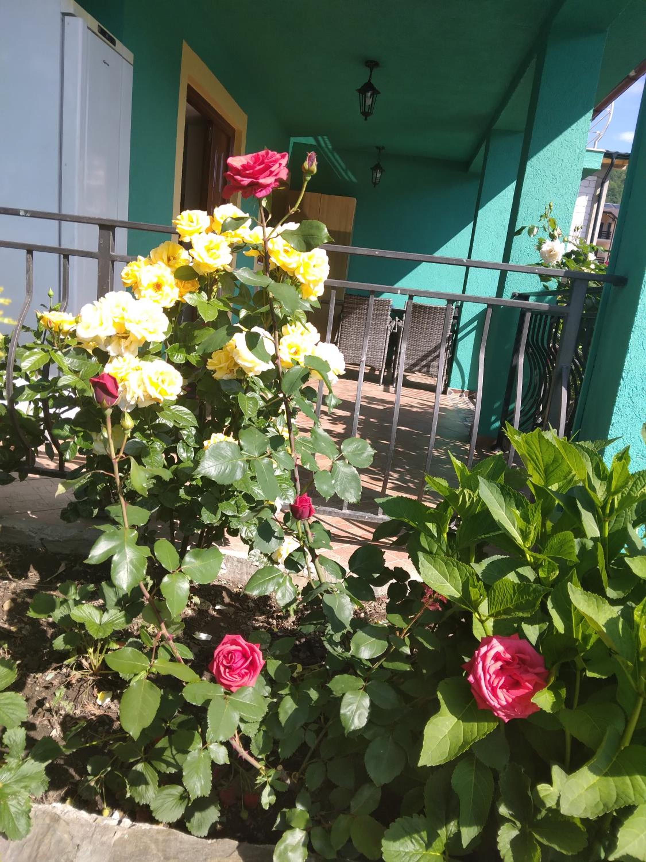Photo 48