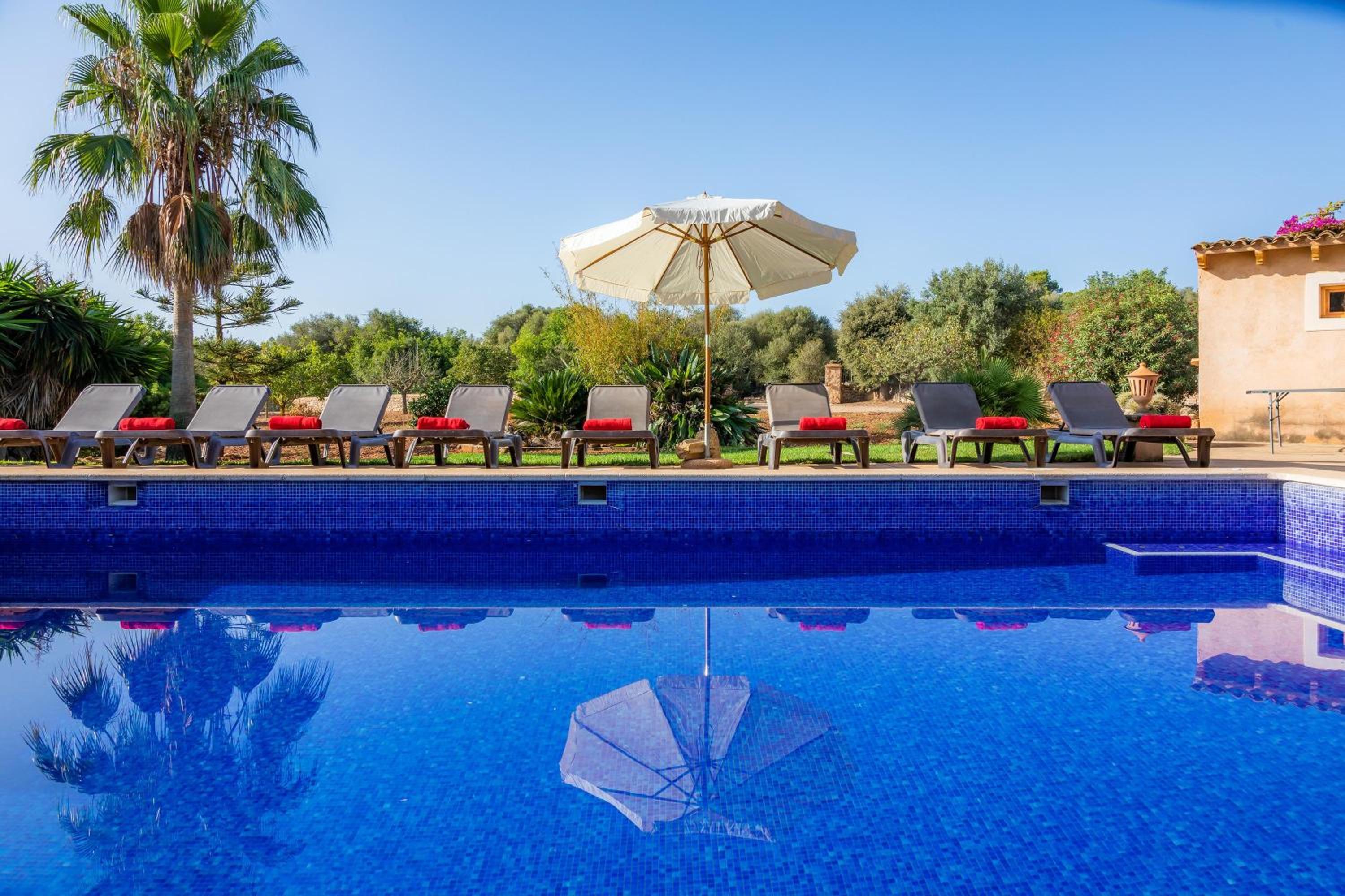 Ses Angoixes en Santanyi — recepcion & lobby