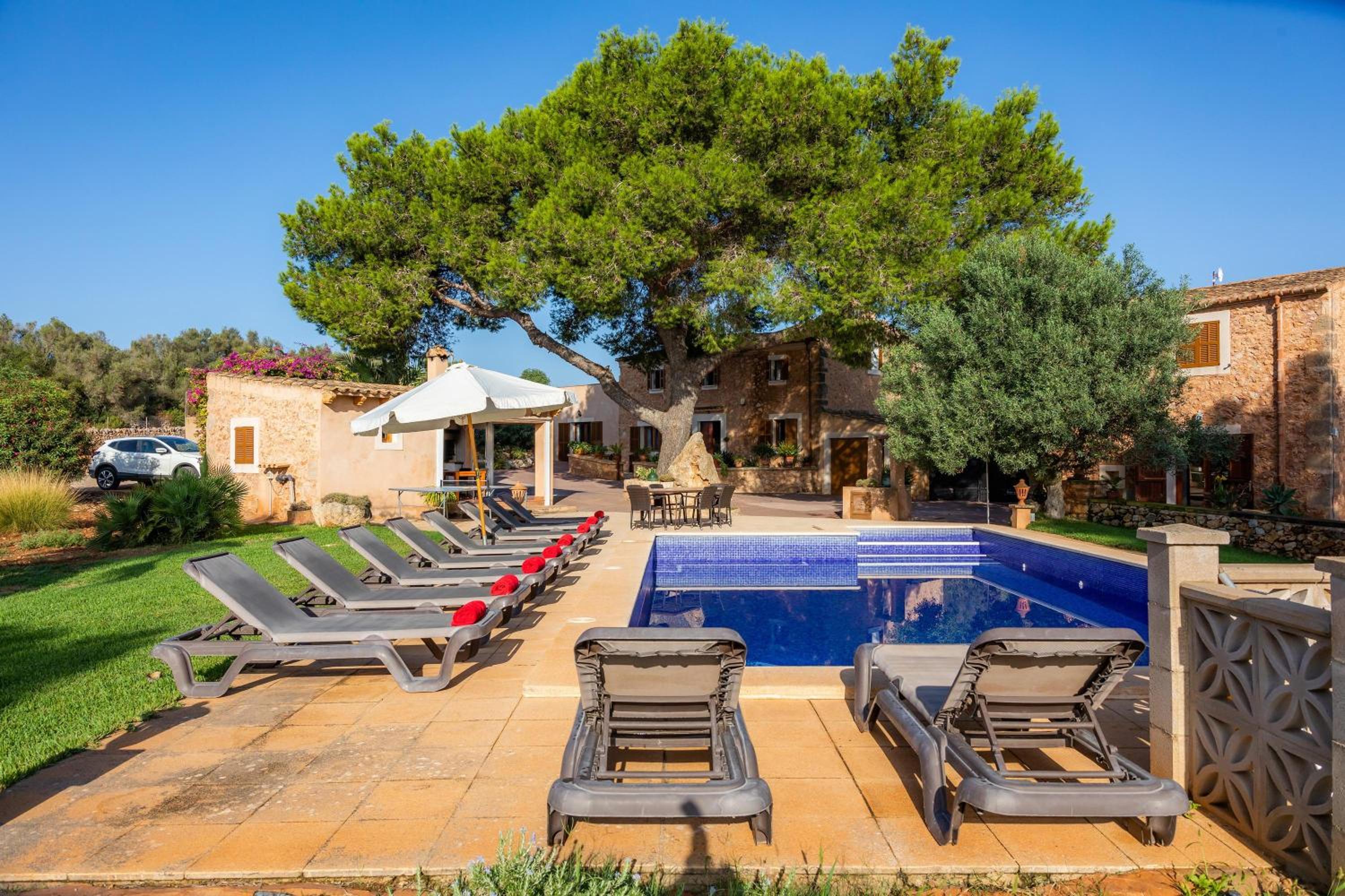 Ses Angoixes en Santanyi — recepcion & lobby