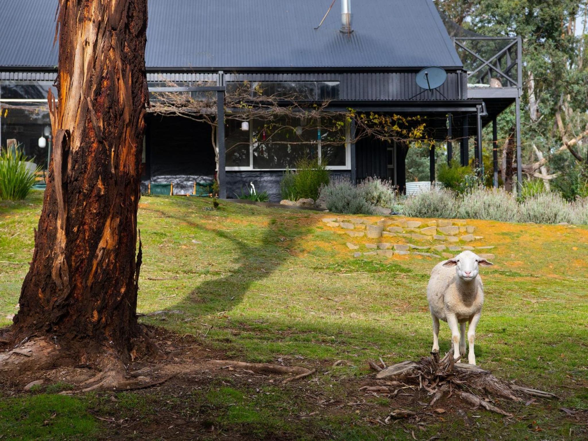 Edessa Lodge - 2 bedroom tranquil bush retreat