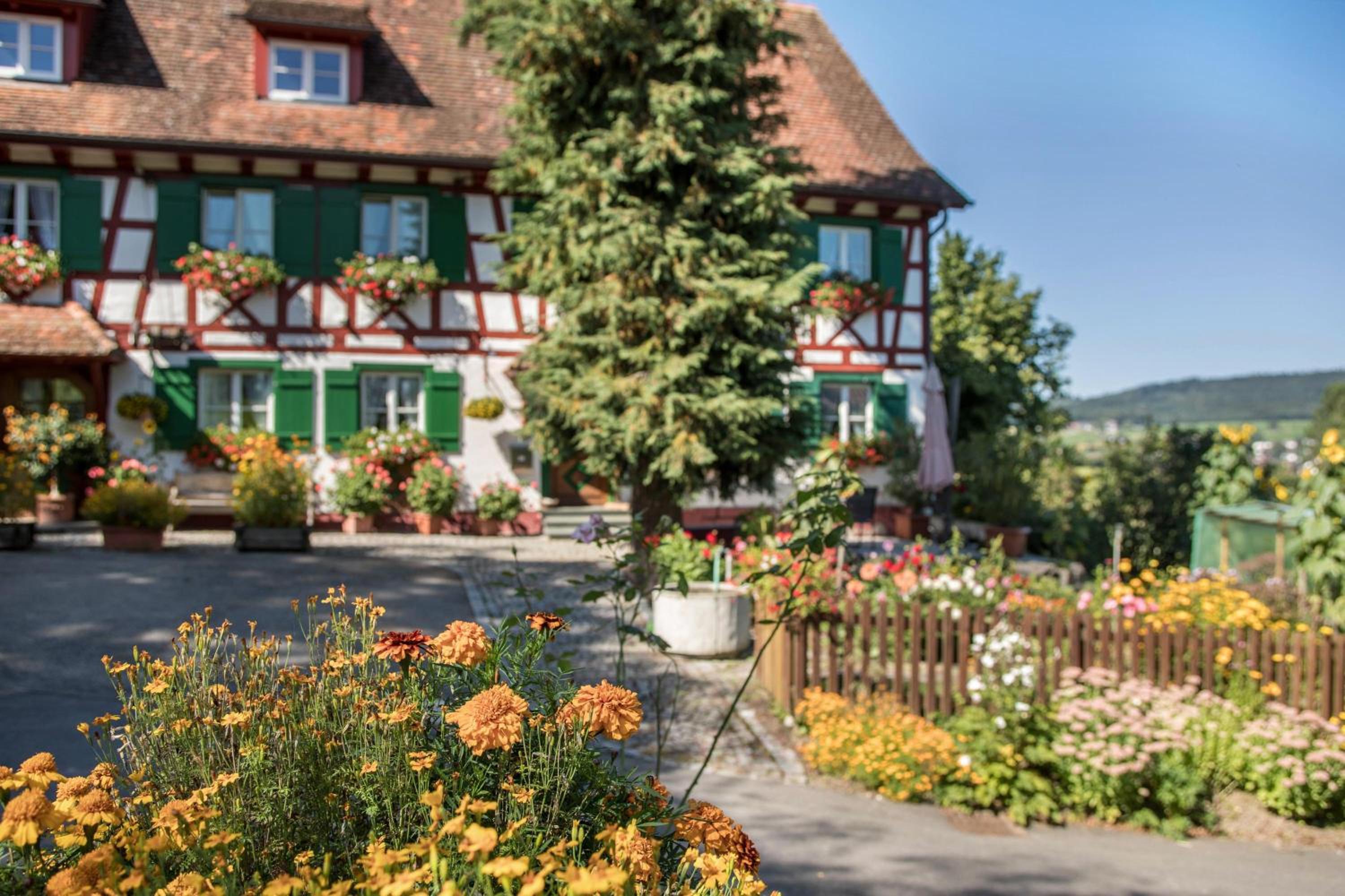 Ferienwohnung Risthof 1