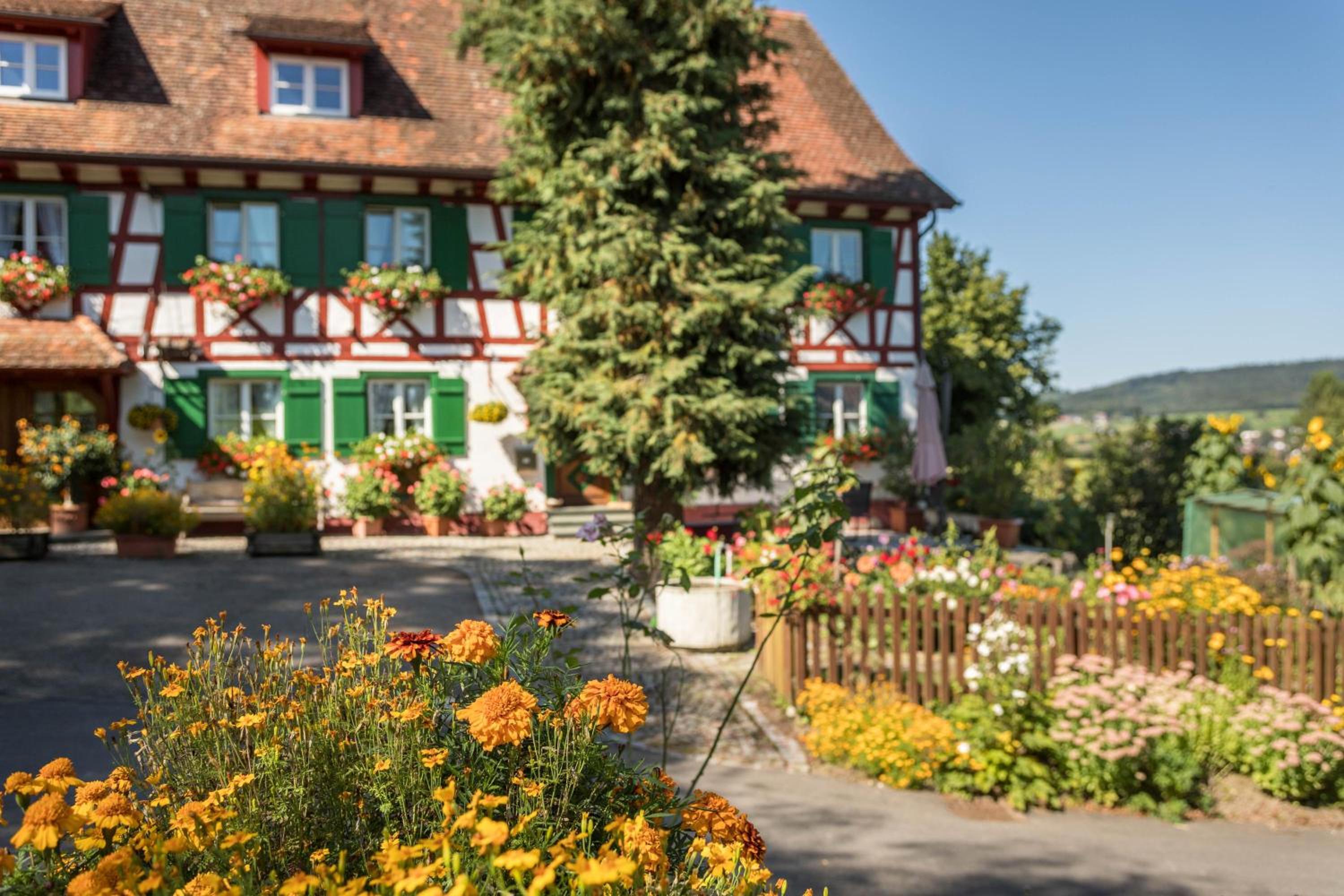 Ferienwohnung Risthof 1