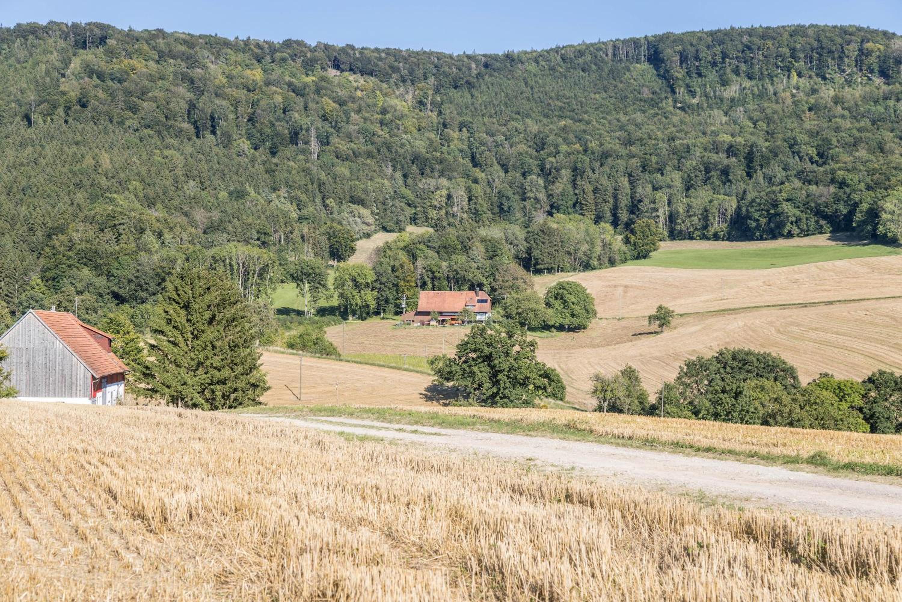 Der Lachenbuckhof
