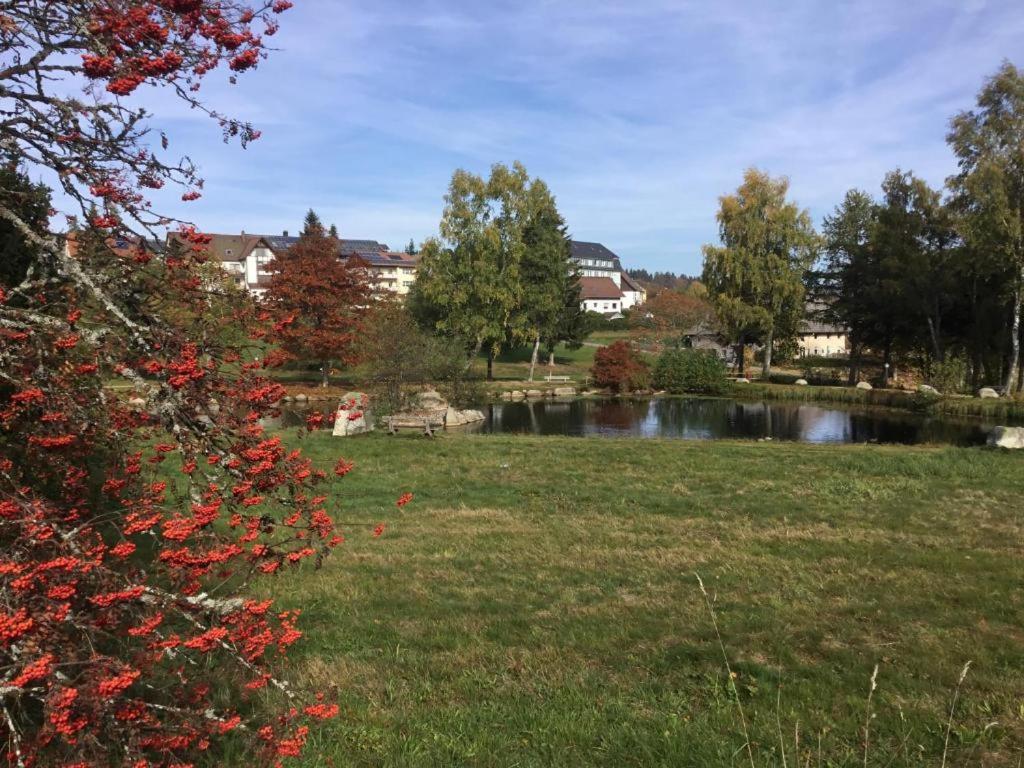 Ferienwohnung Schwarzwald Schlössle view 5