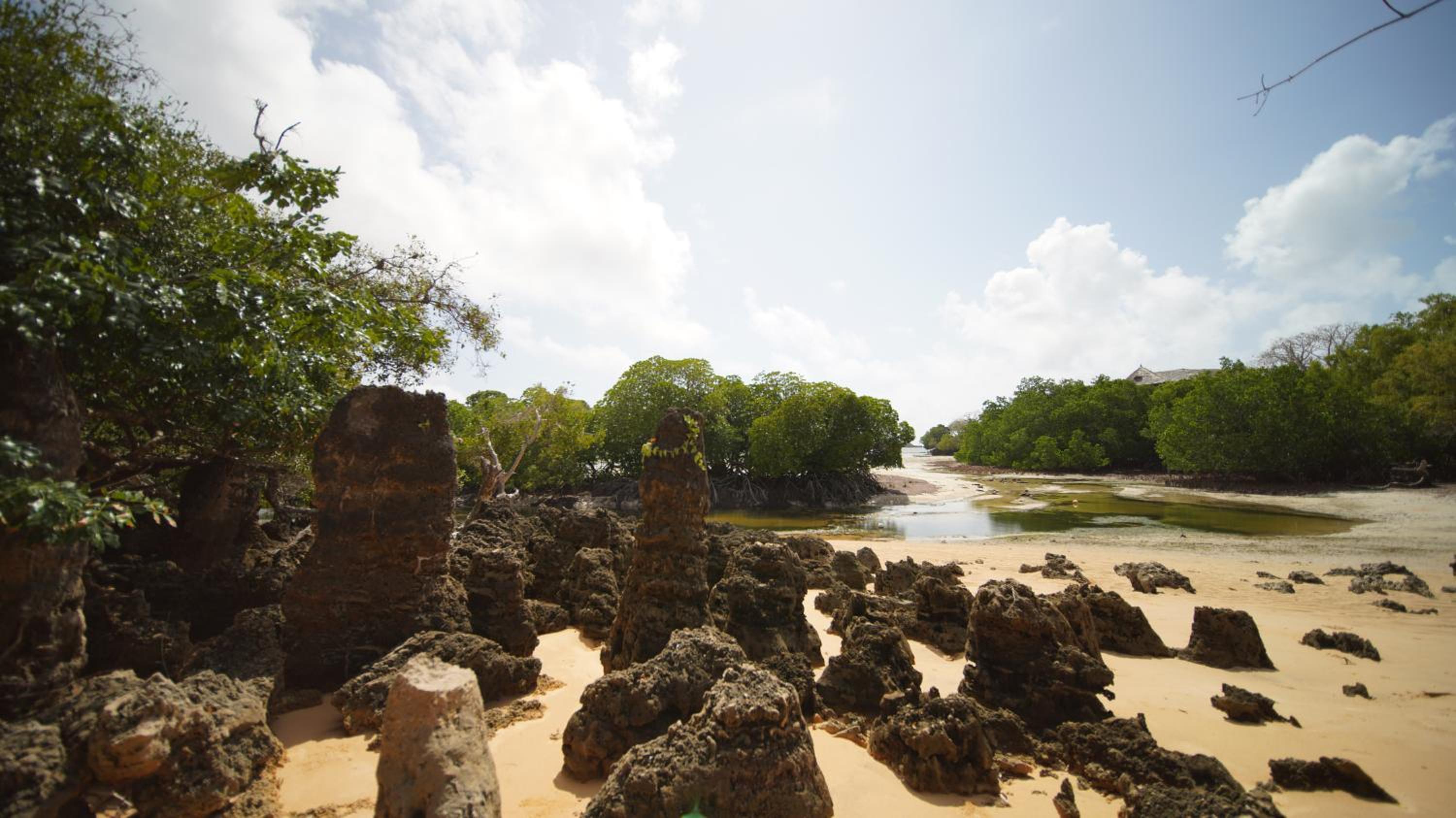 The Mida Creek Hotel