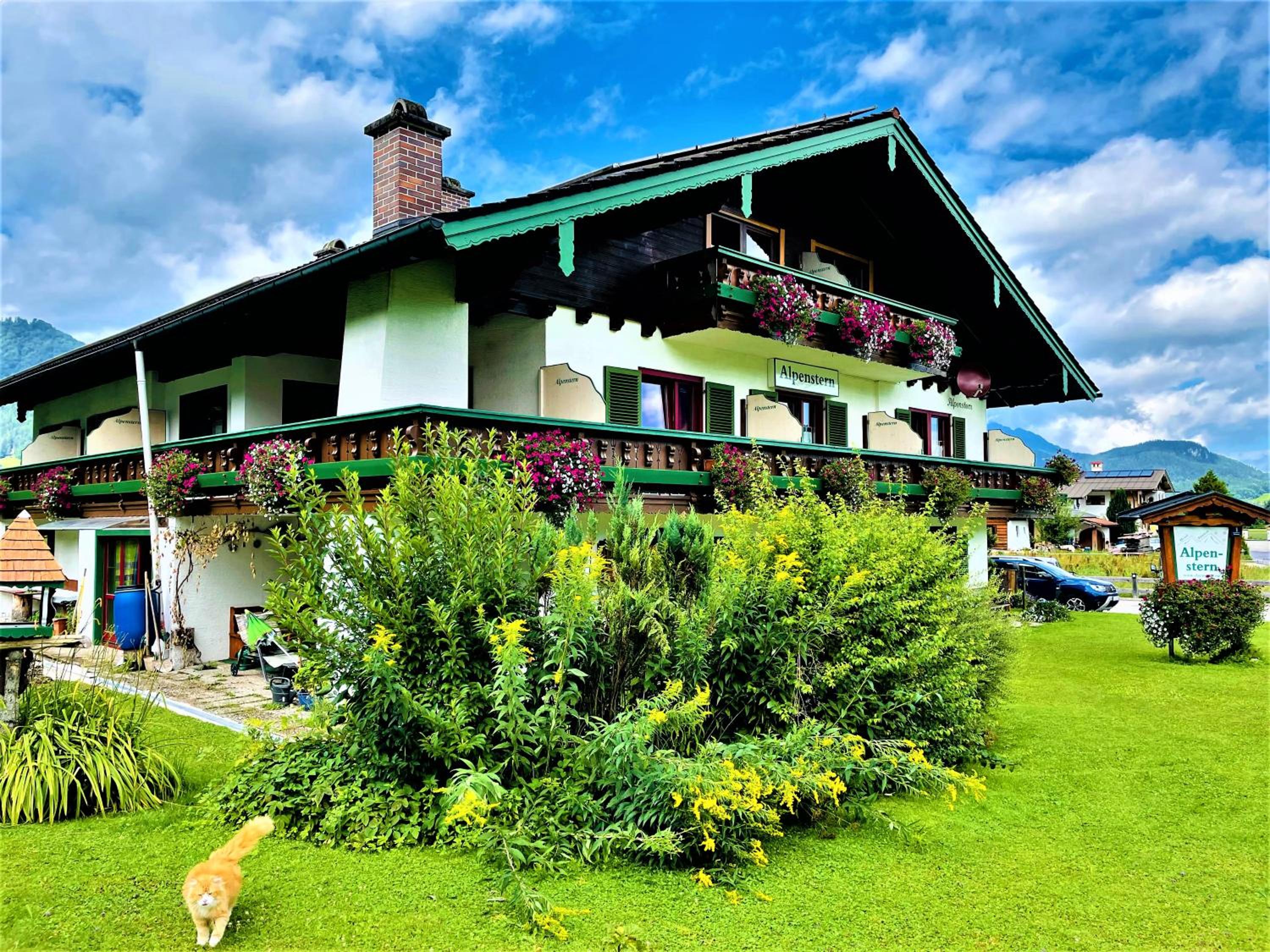 Hotel - Pension Alpenstern view 2