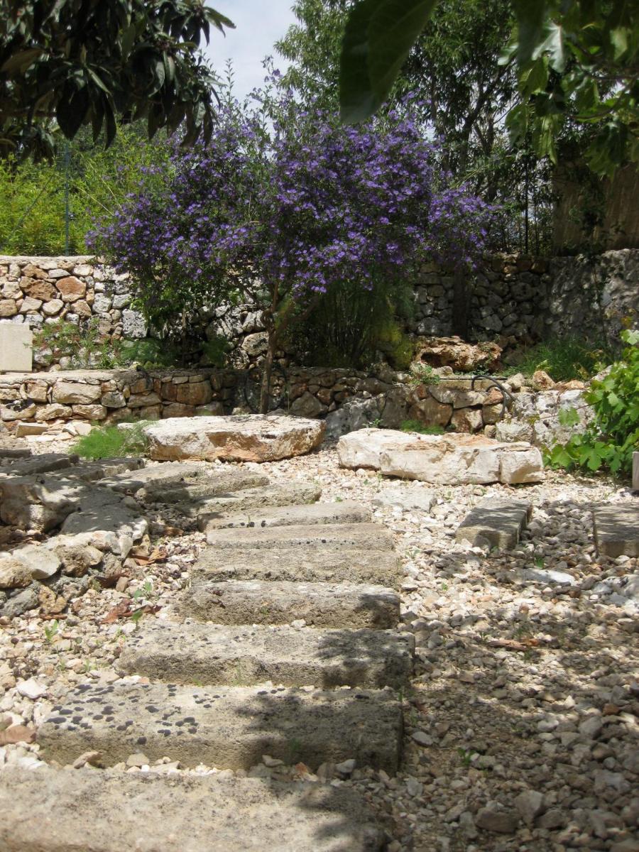 Photo 27