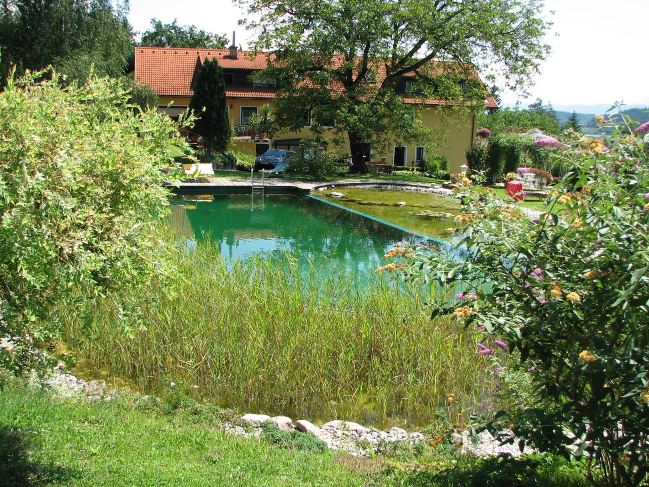 Photo 33