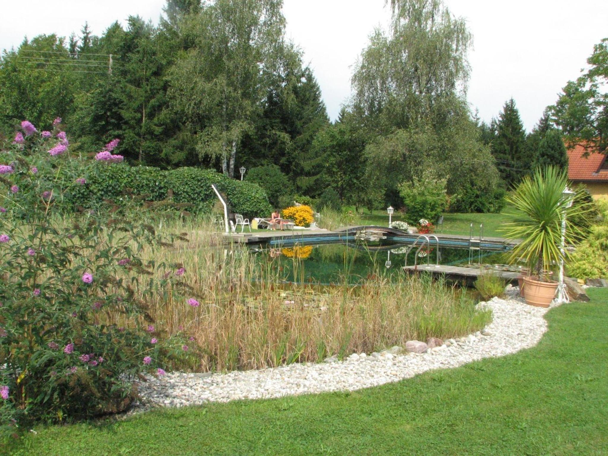 Photo 35