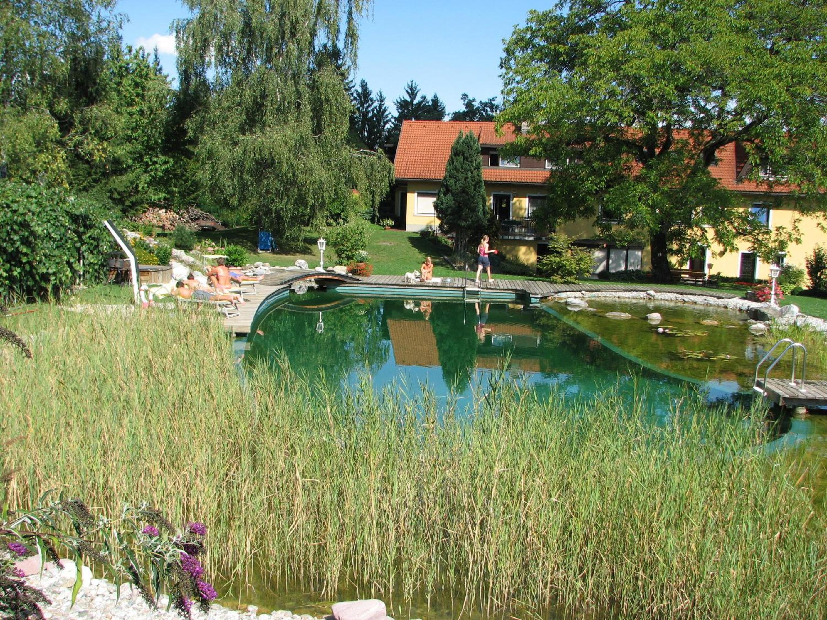 Photo 39