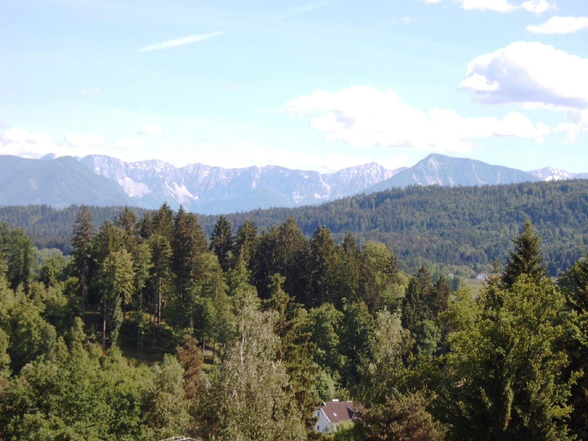 Photo 42