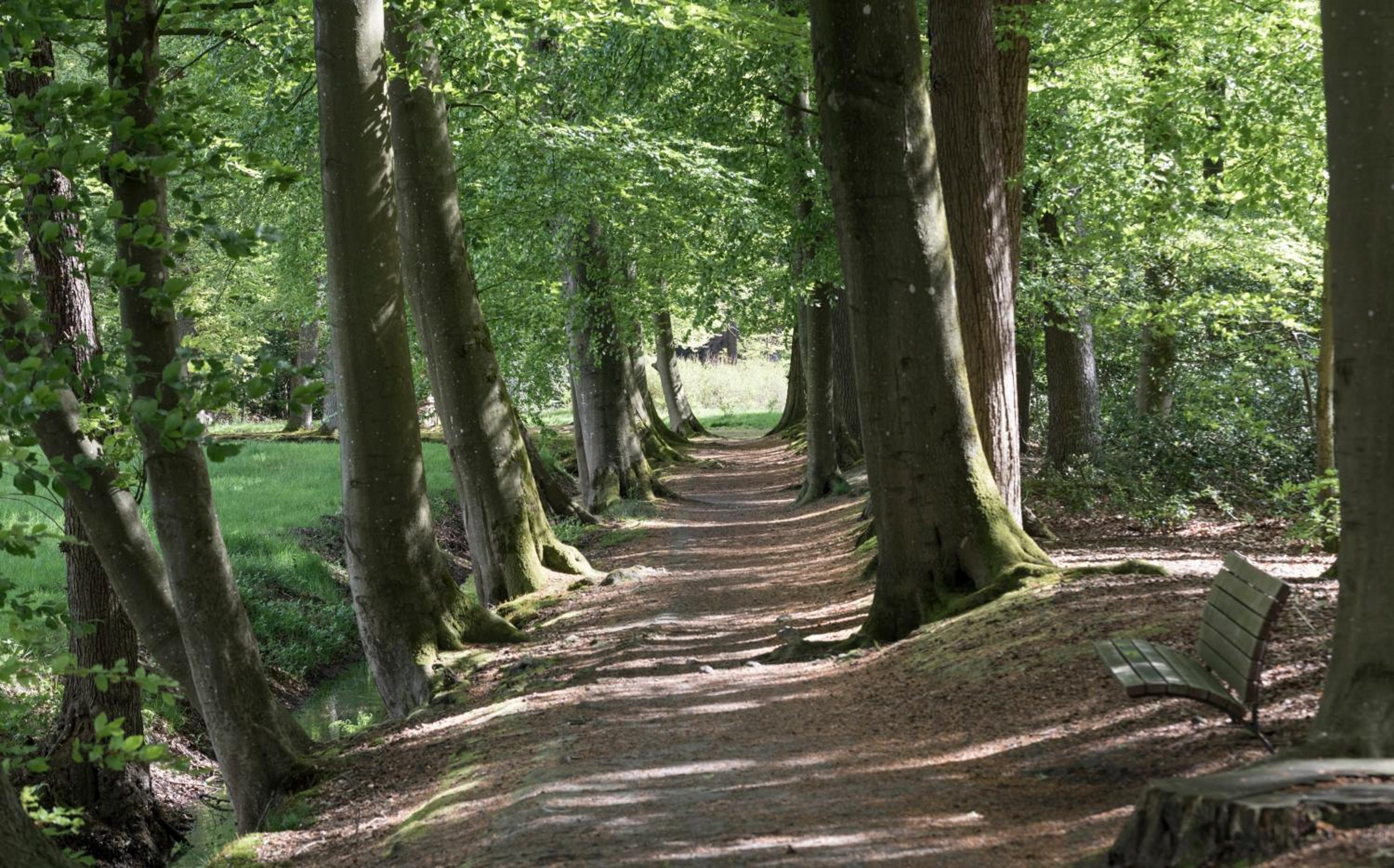De Burcht-Drenthe view 4