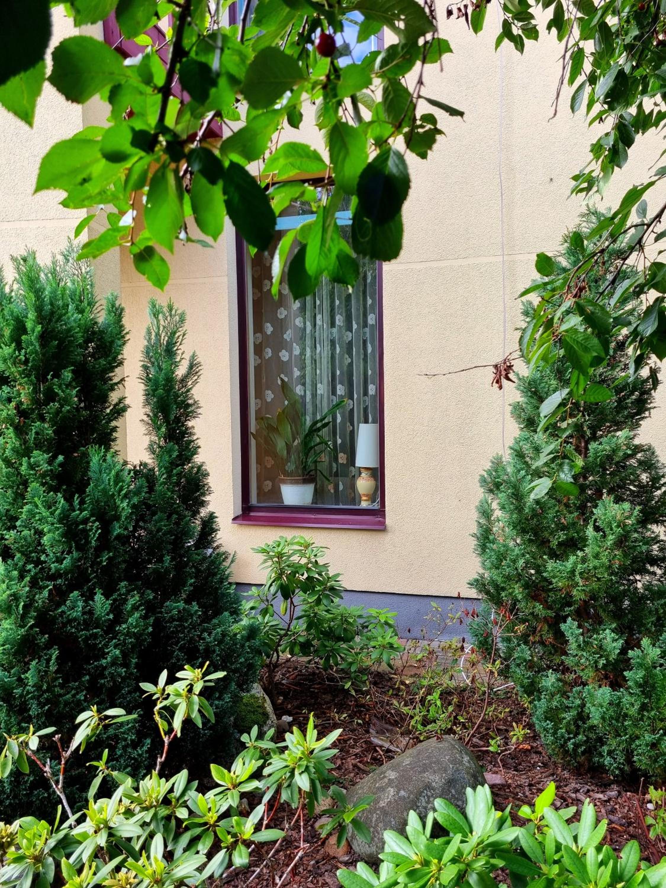 Cozy Apartment Magnolia 3 Room view 2