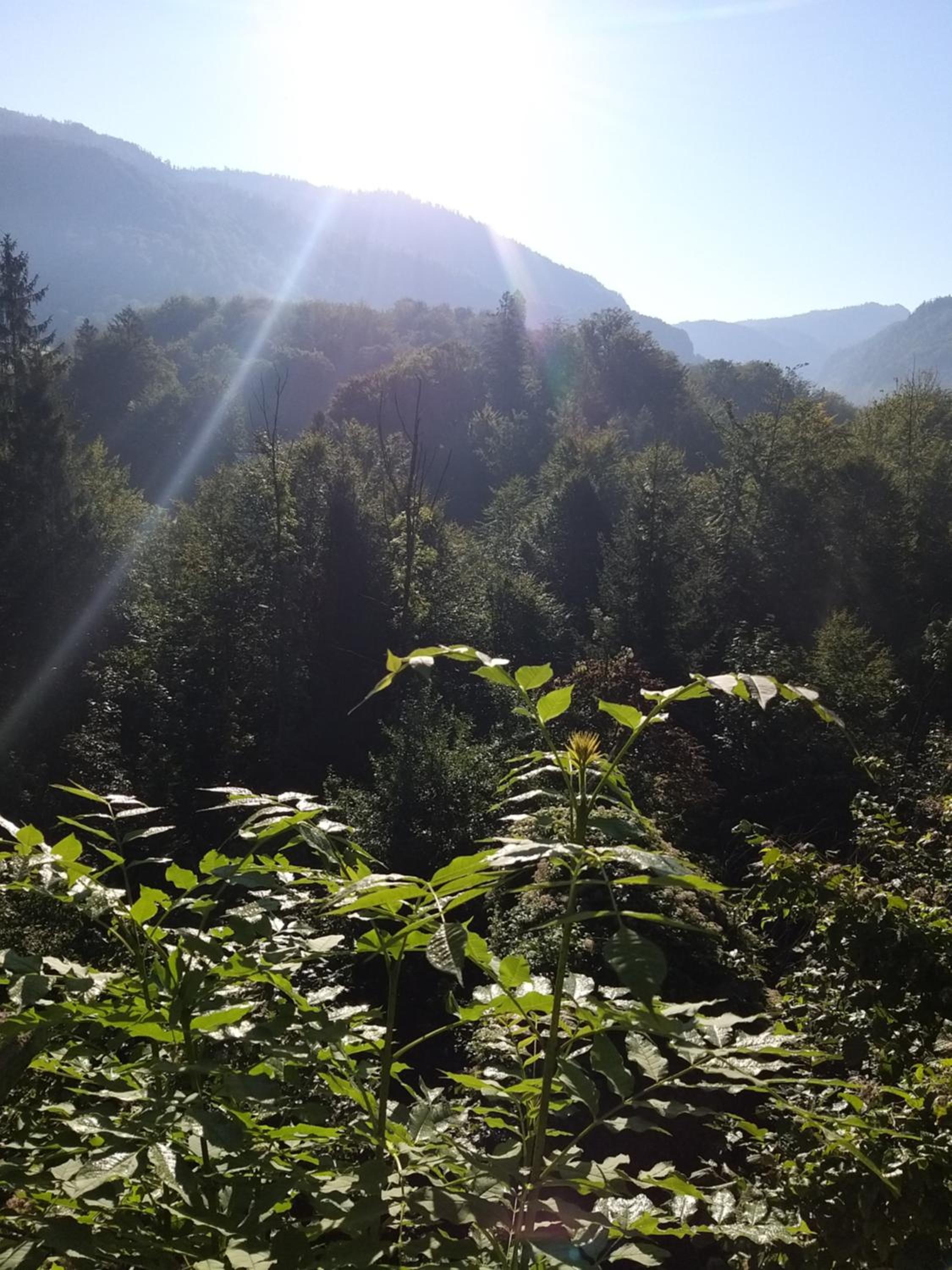 CHILL&SLEEP Bad Ischl