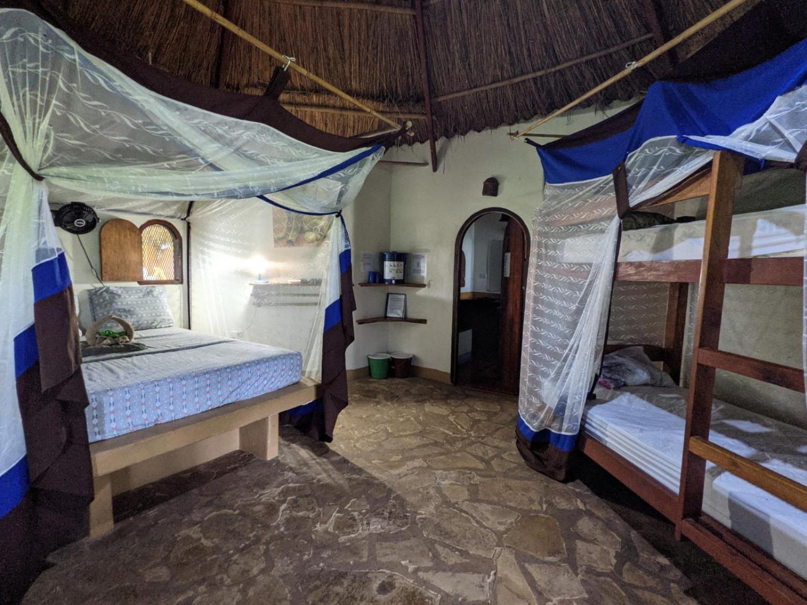 Photo 113