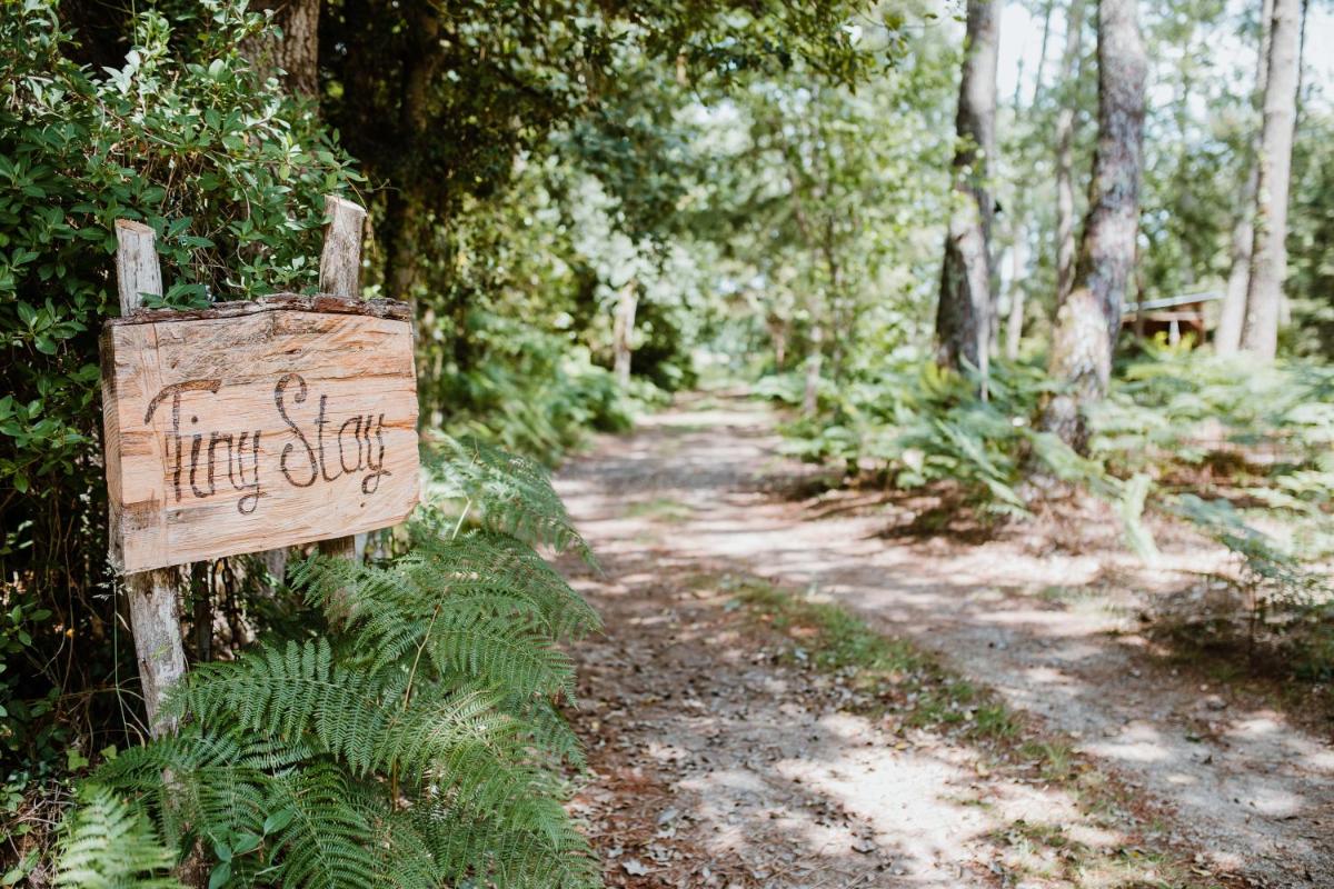 Tiny Stay - Ecolodge photo 2