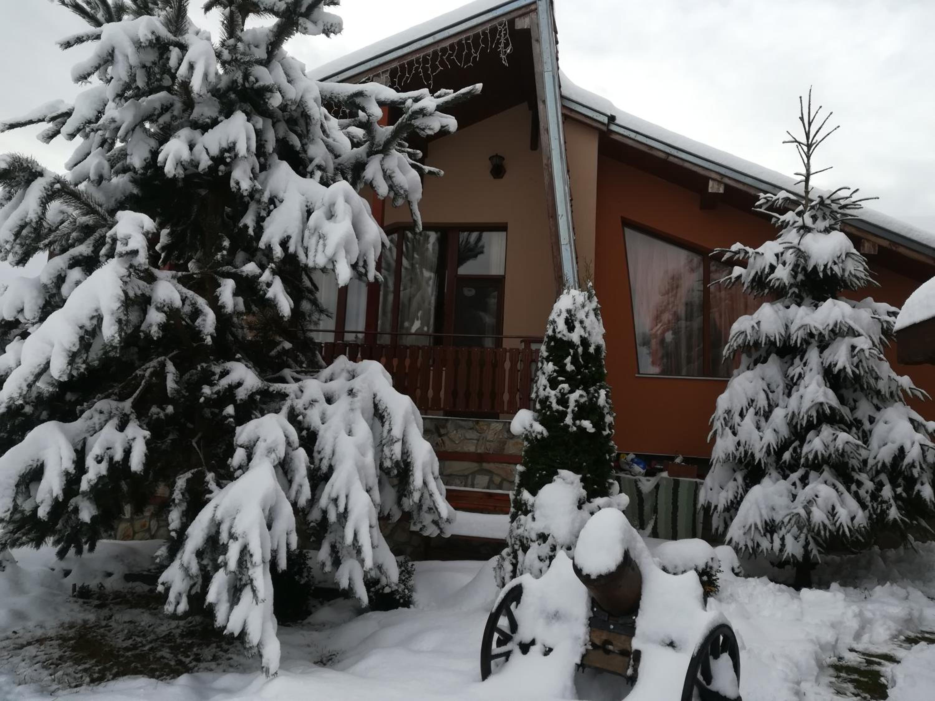 Photo 23