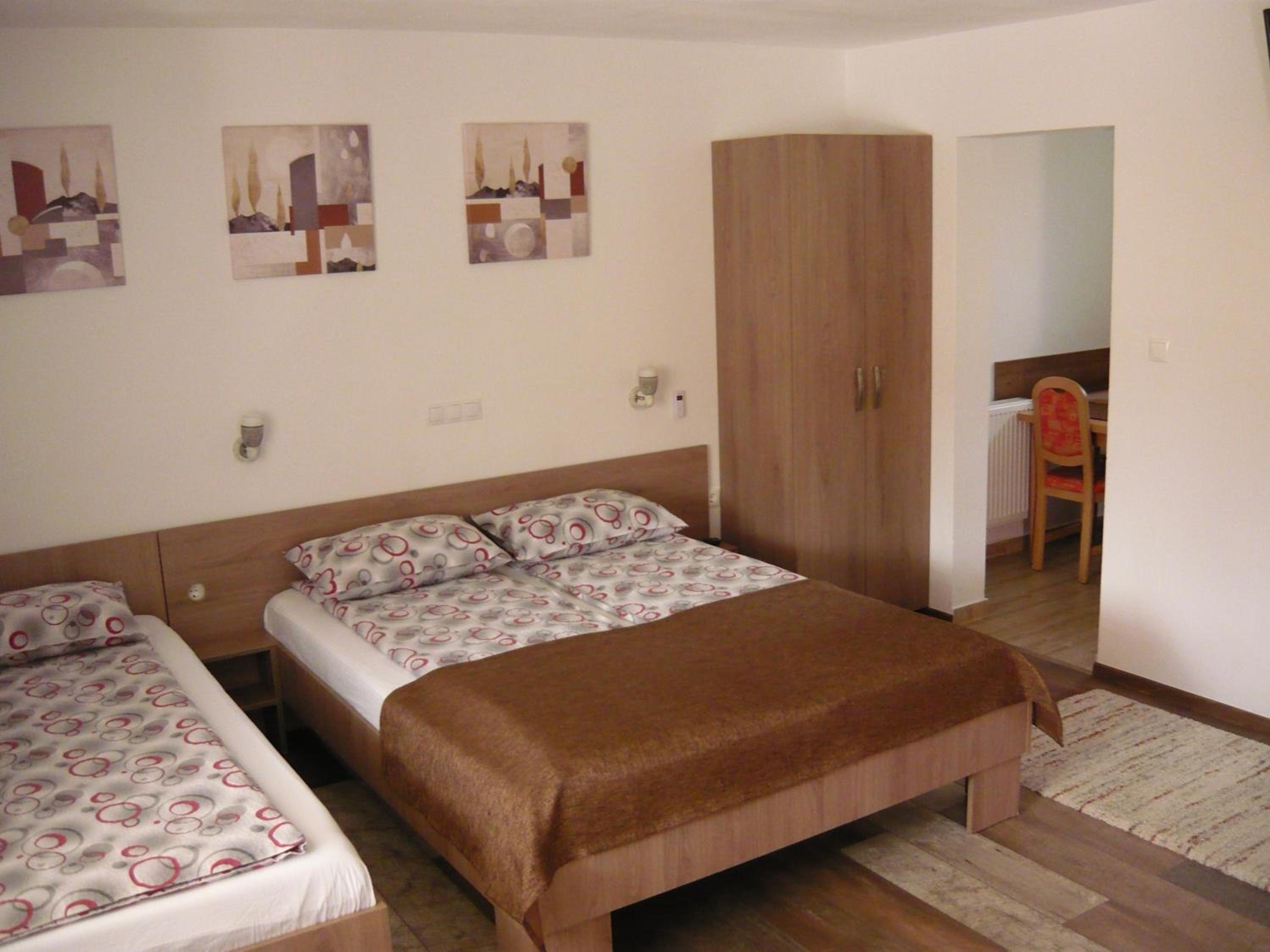 CASA DE OASPETI LIVIU view 3