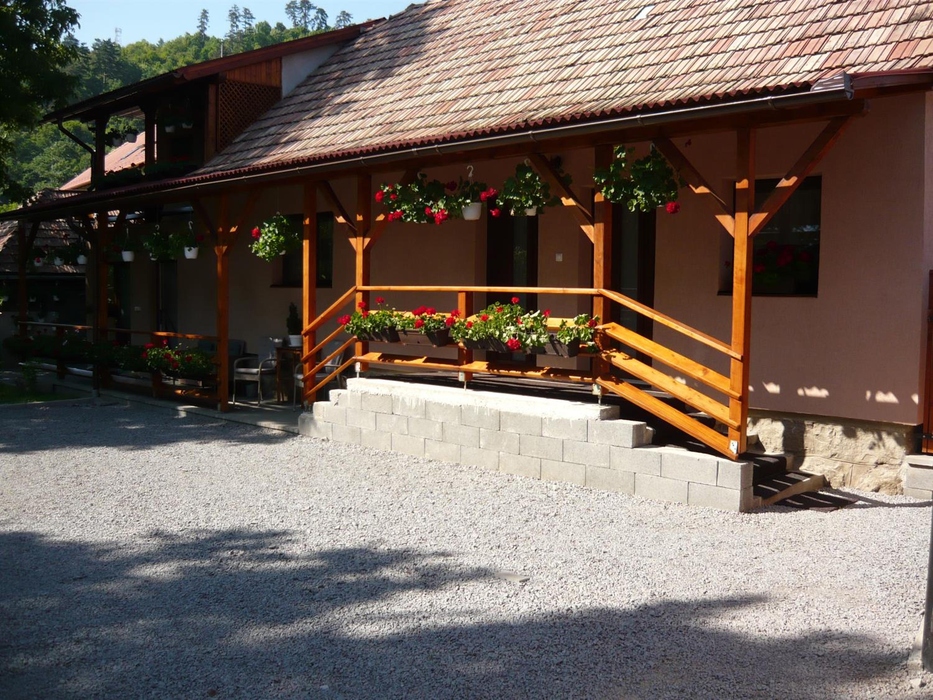 Hotel CASA DE OASPETI LIVIU - Image 1