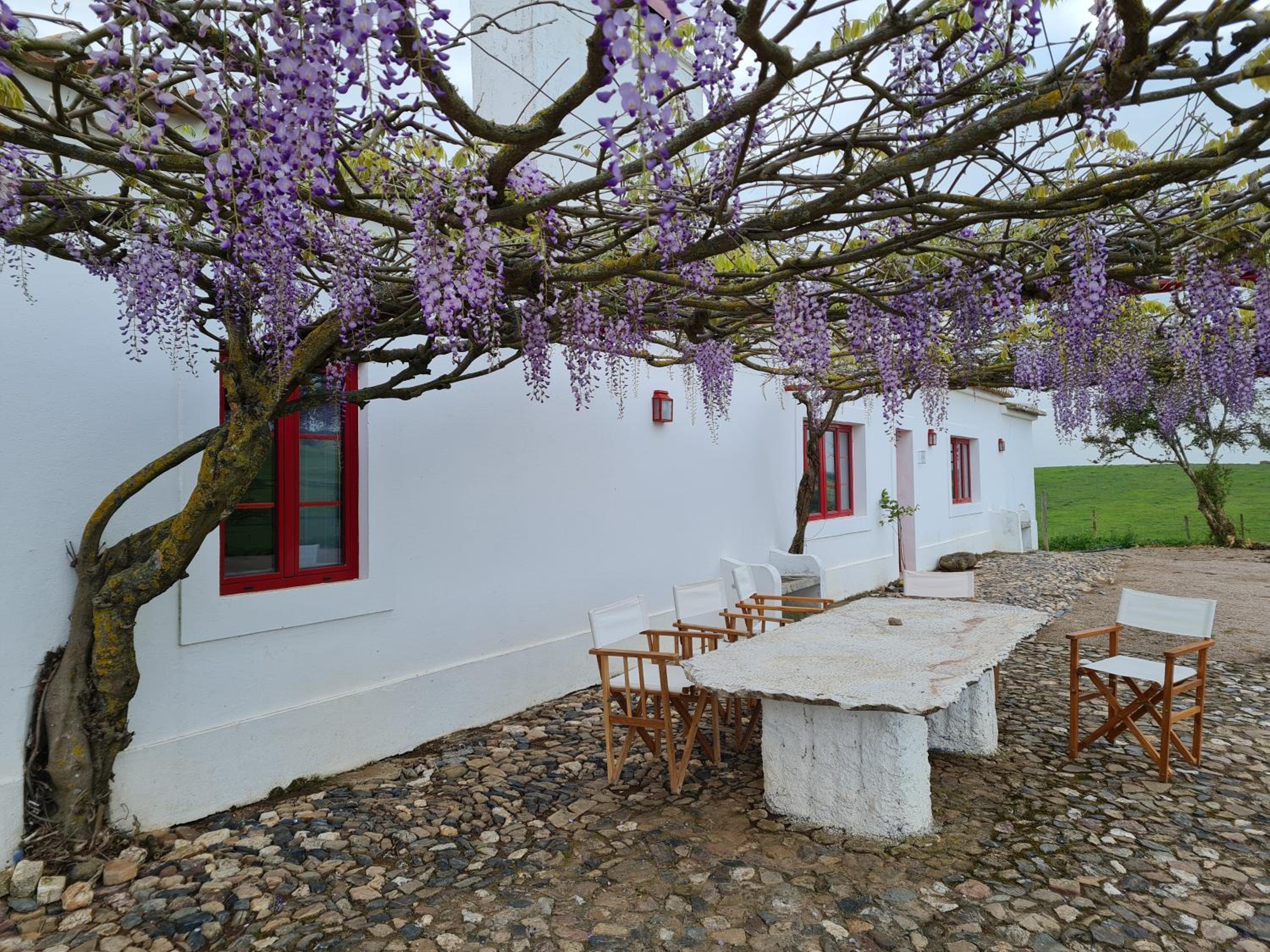 Monte do Arneiro view 4