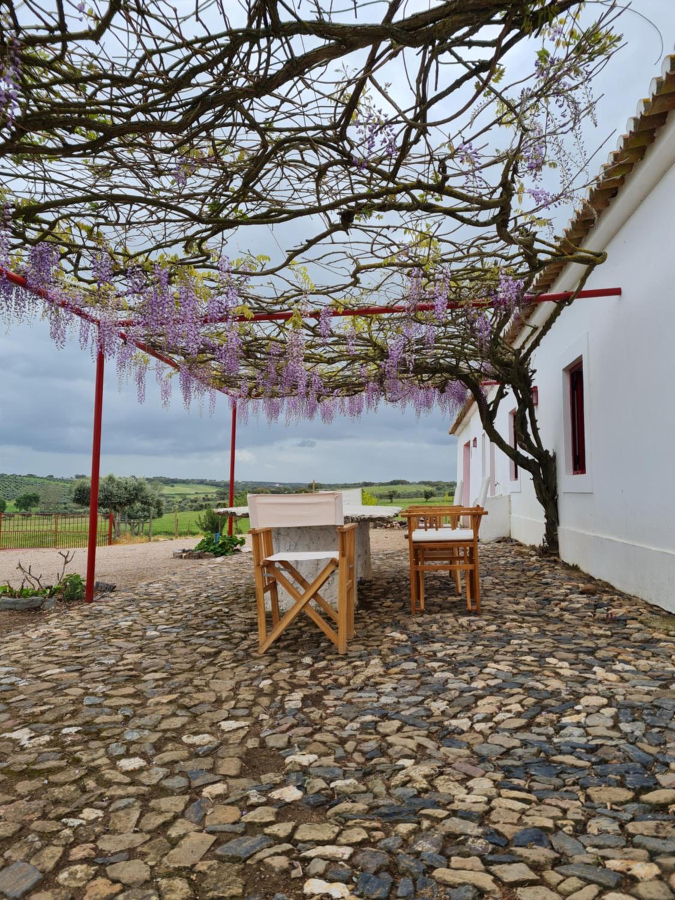 Monte do Arneiro view 5