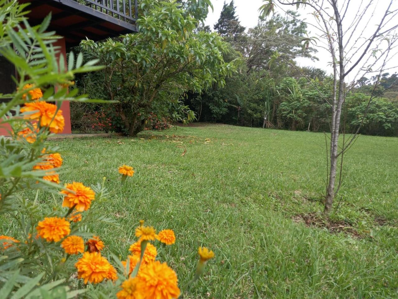 Casa de Montaña Tica Linda view 5
