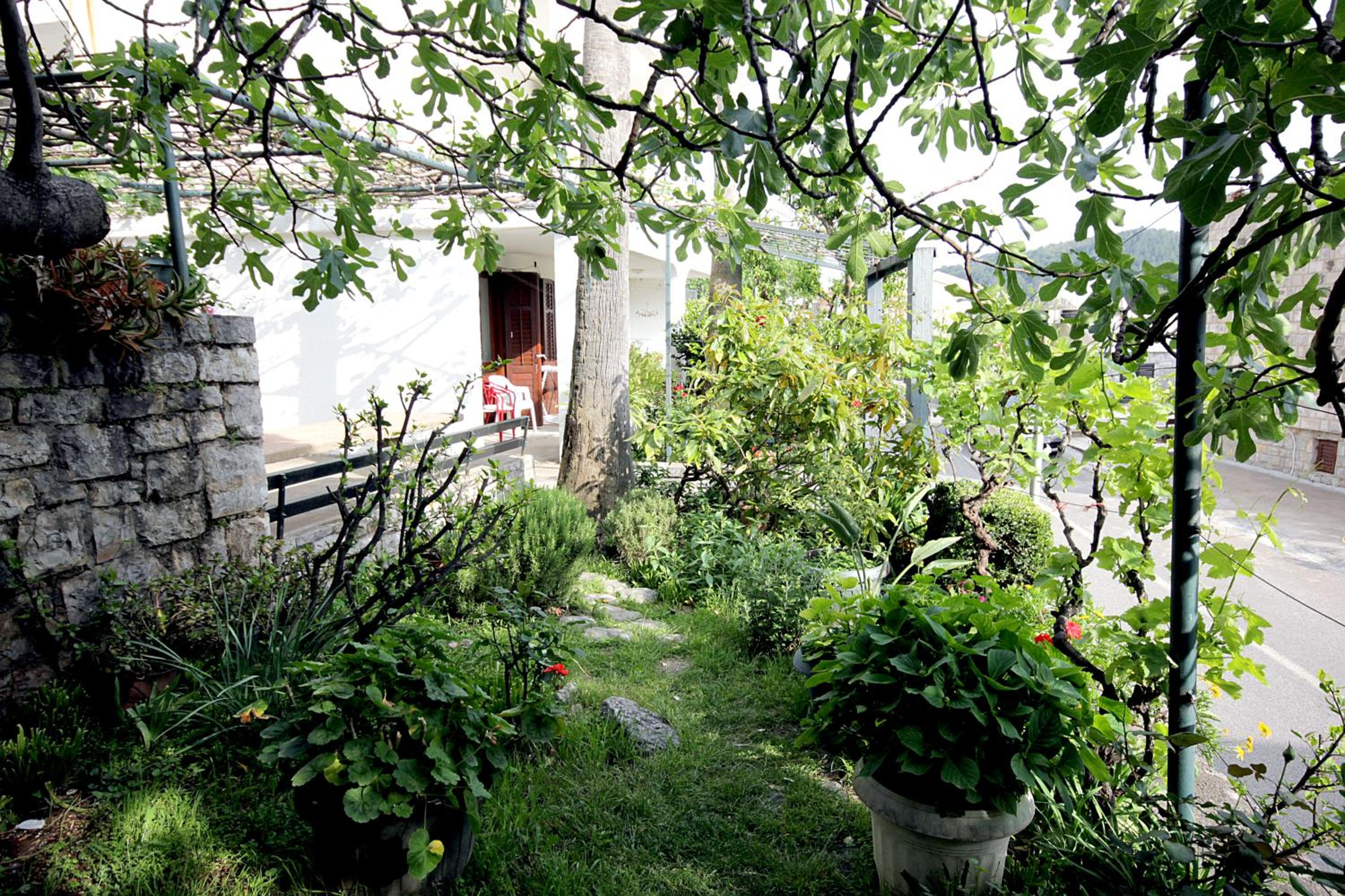 Guesthouse Drašković view 3