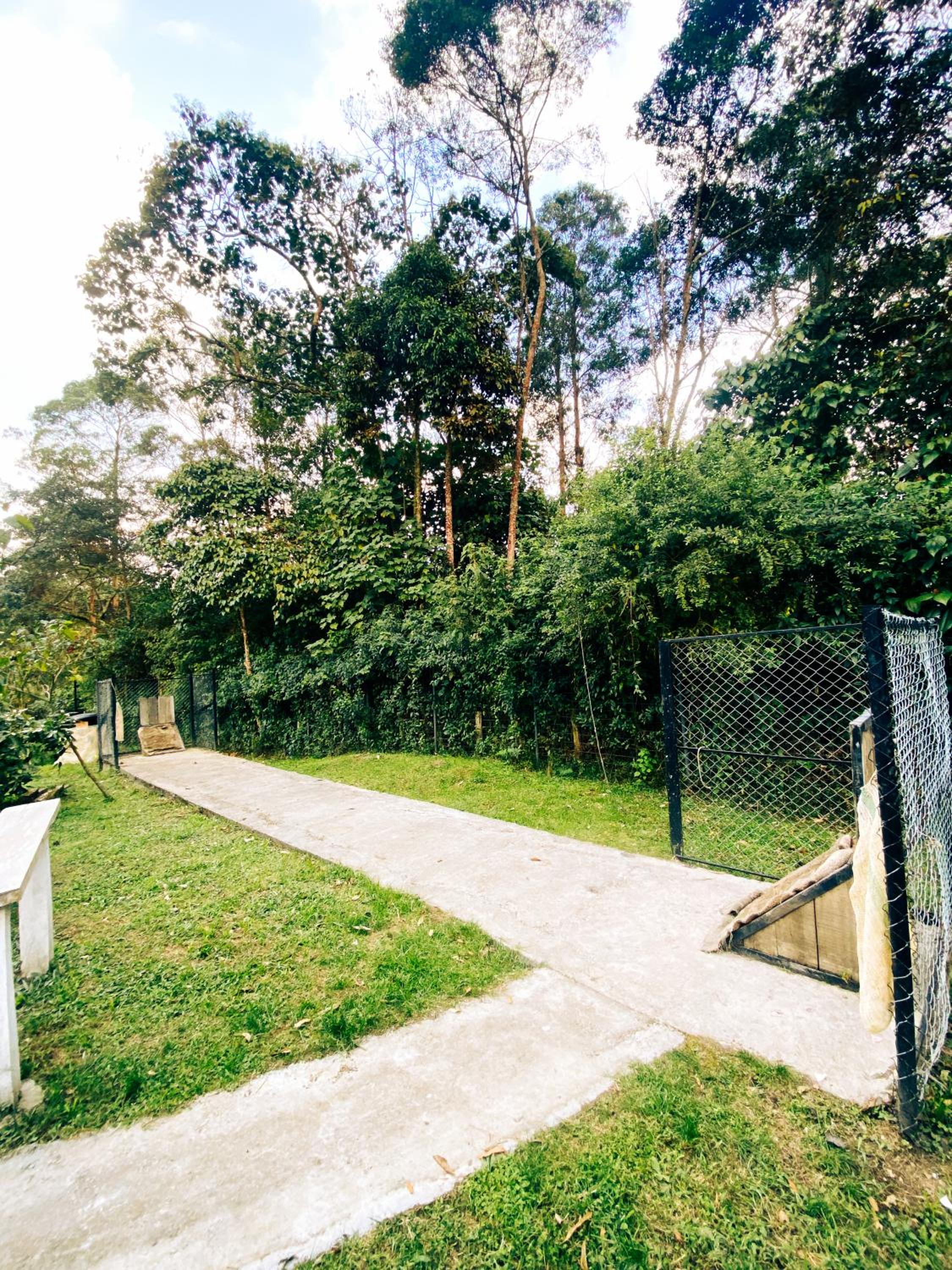 Photo 47