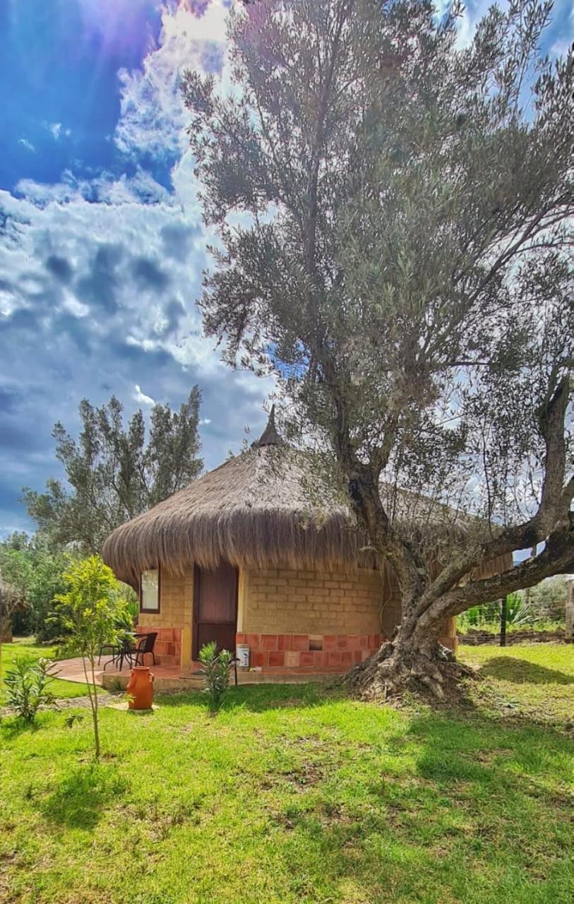 Chalets Sol Muisca RNT85322