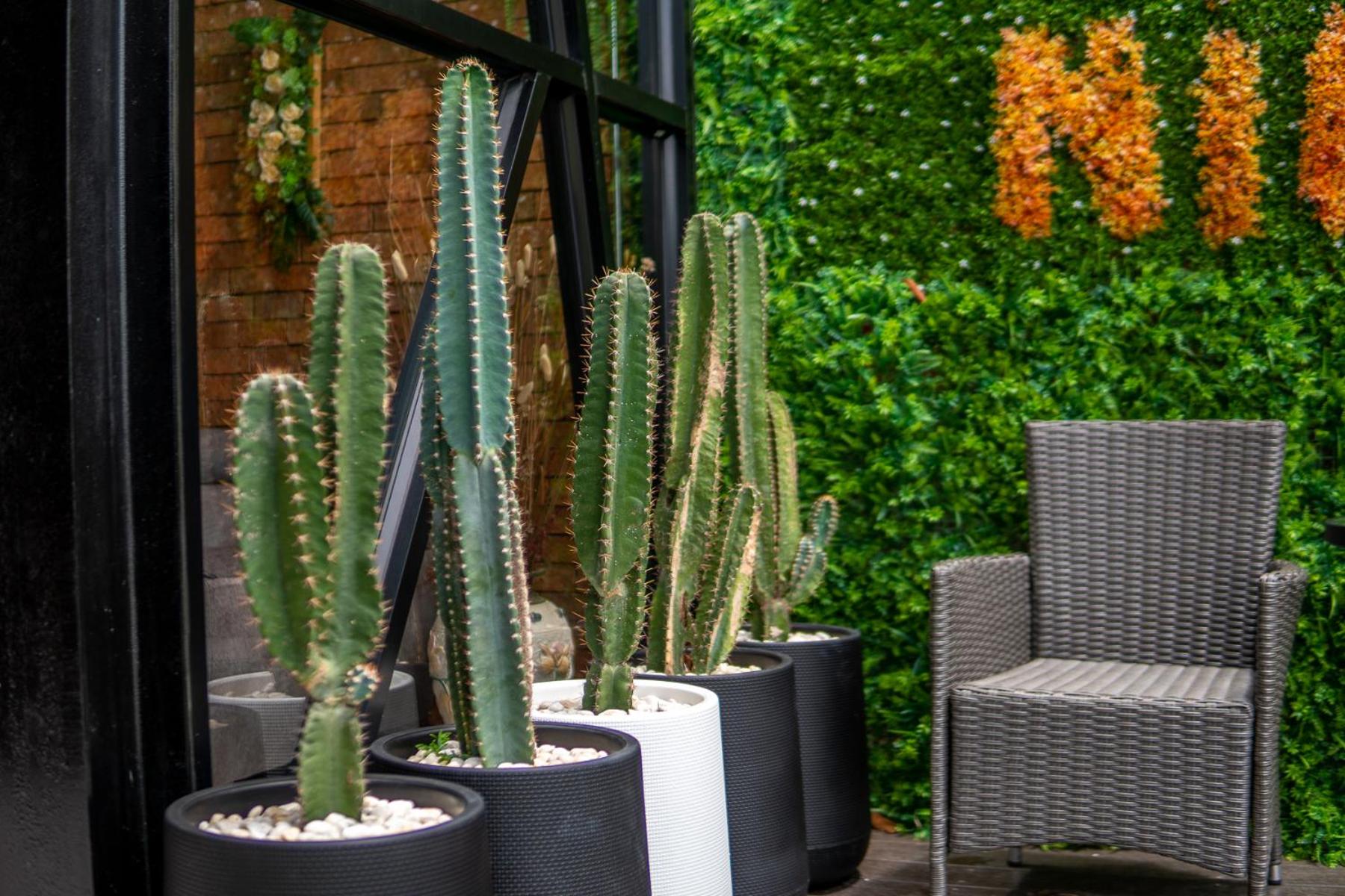 Photo 39